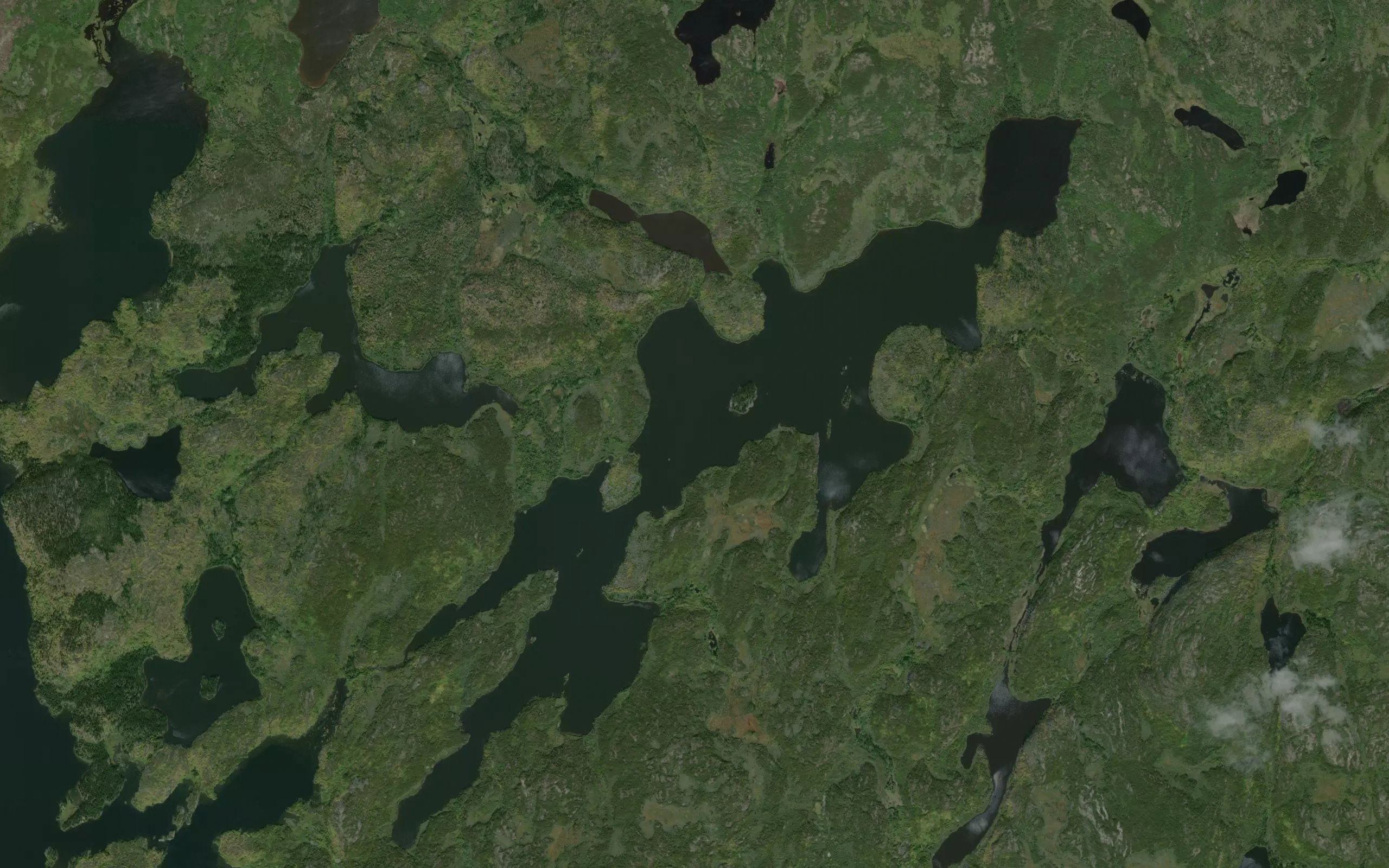 Bear Den Lake