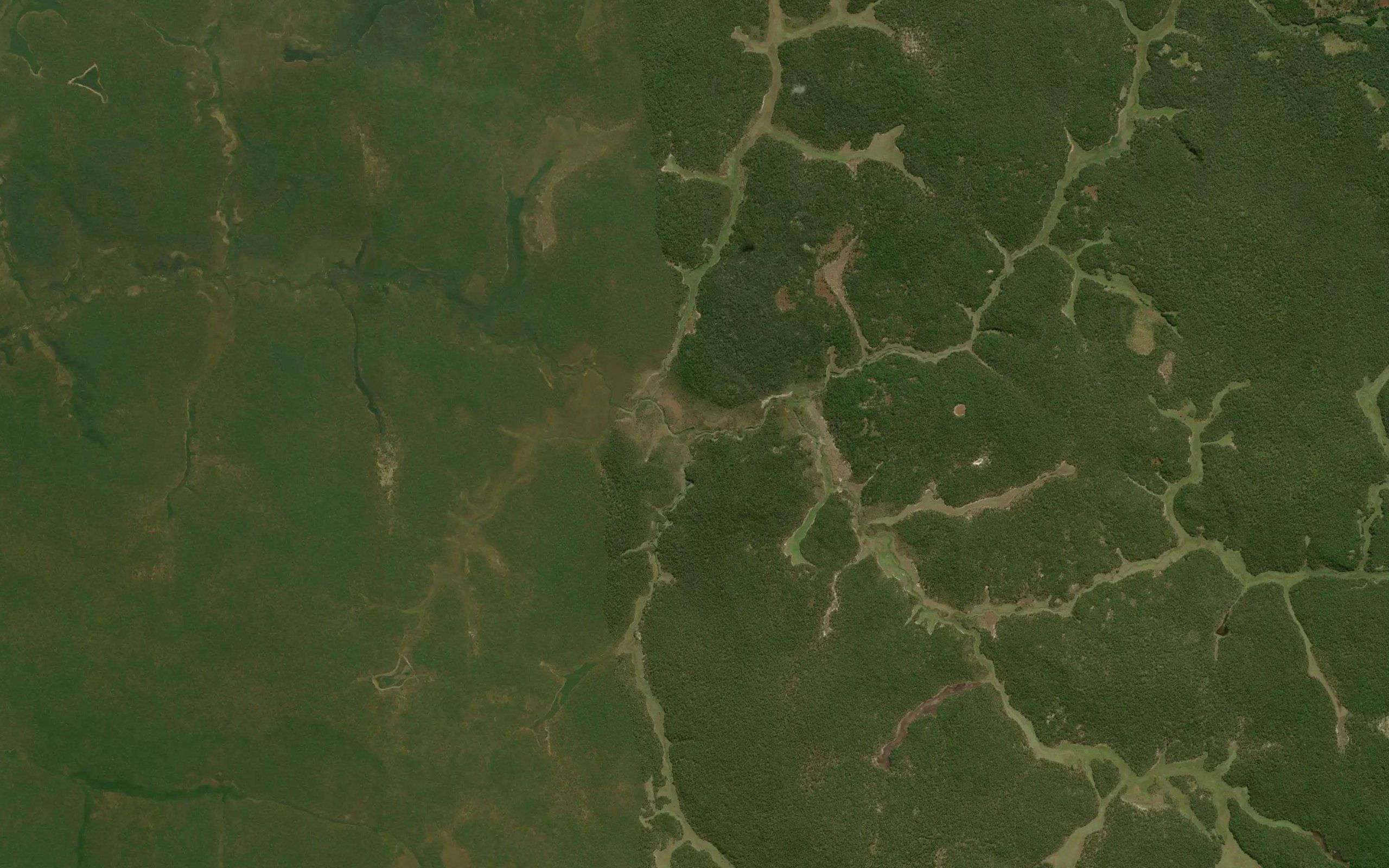 Ngombe