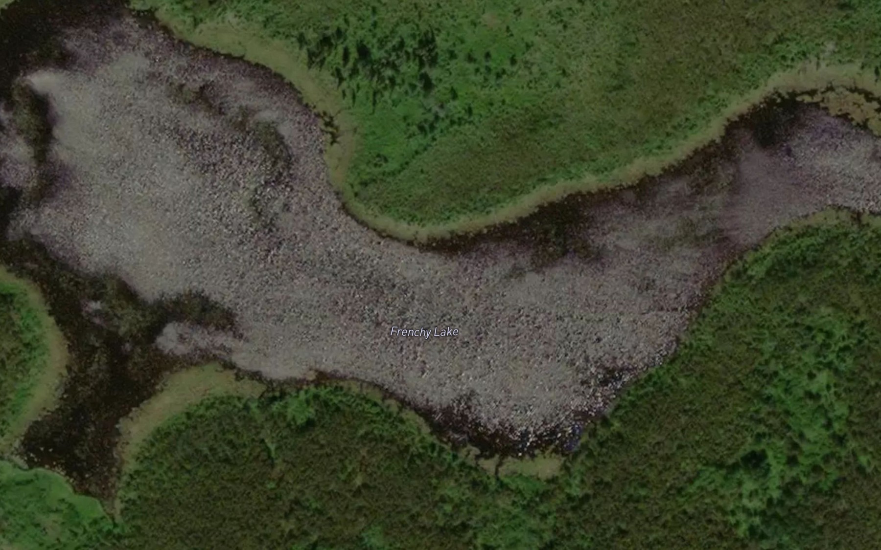 Satellite map of the Frenchy Lake