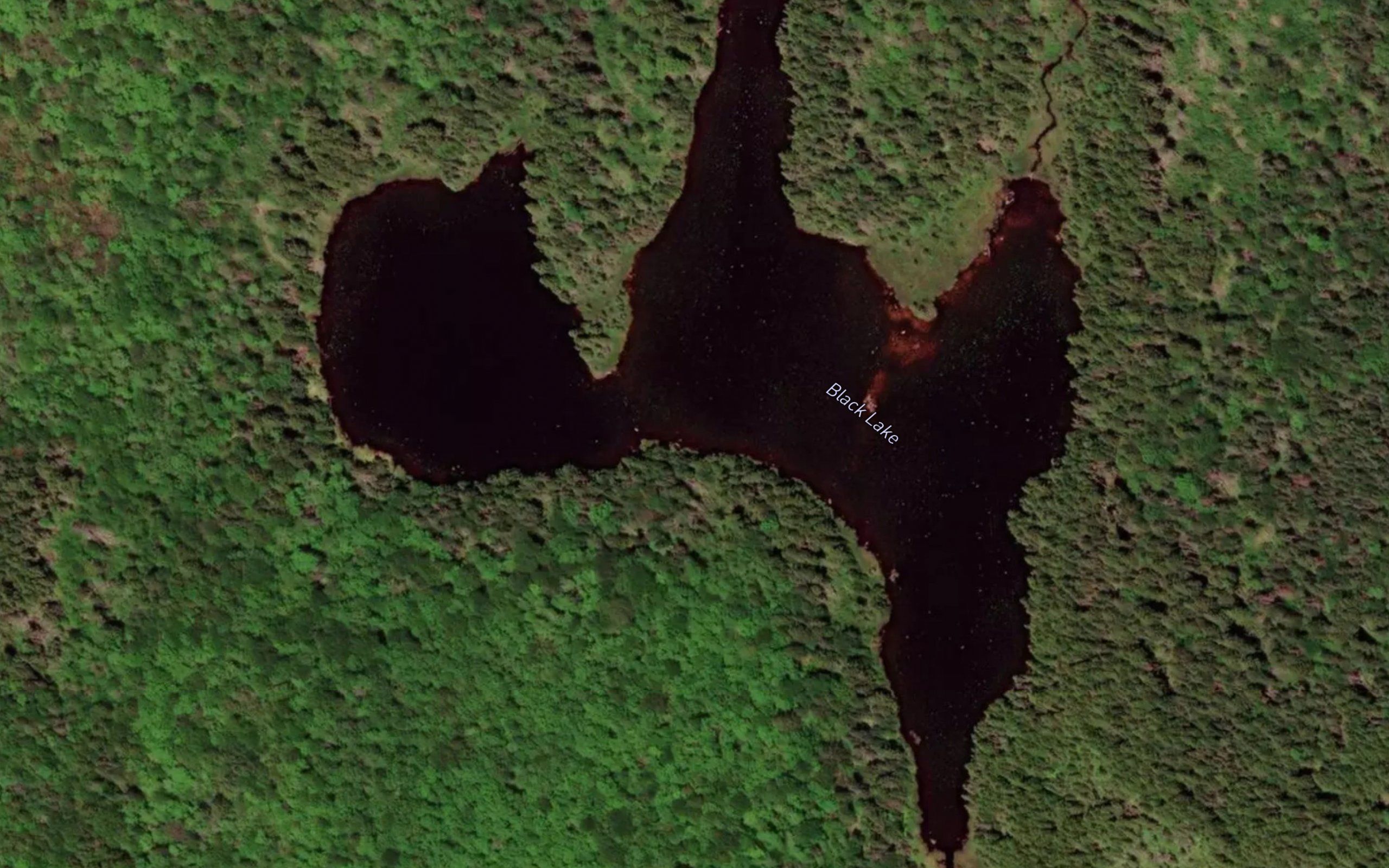 Black Lake