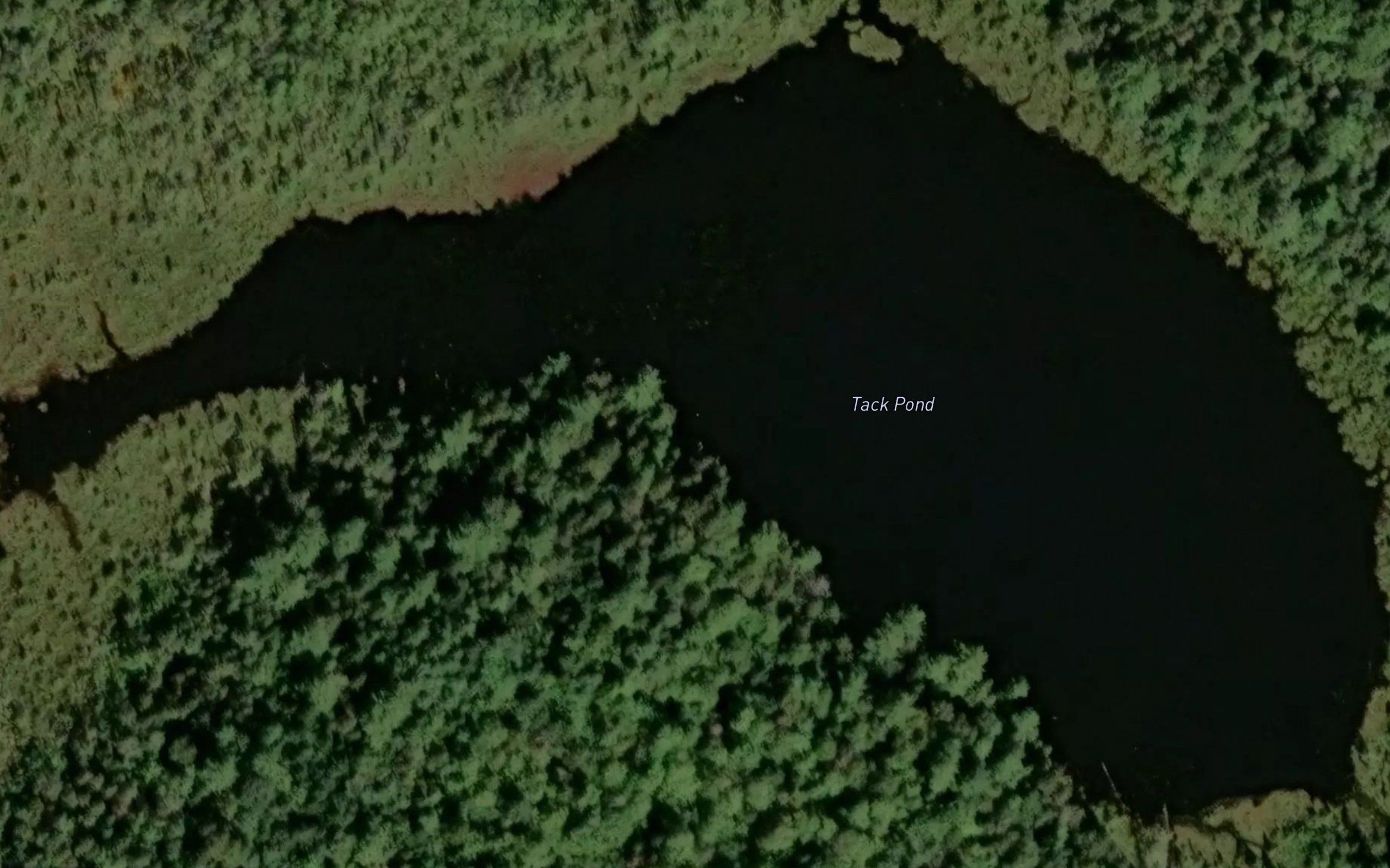 Tack Pond