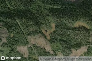 Skogpullen