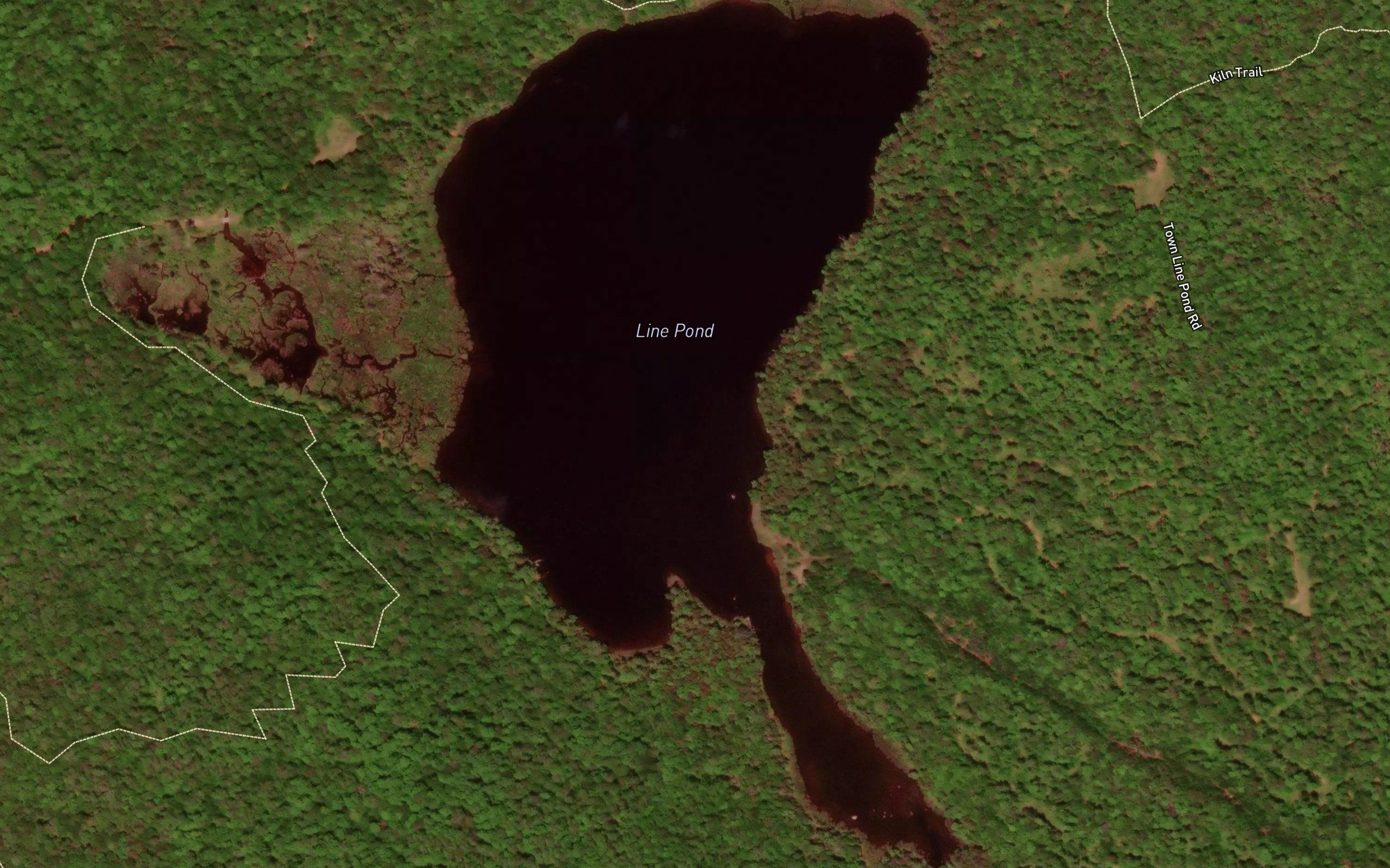 Line Pond