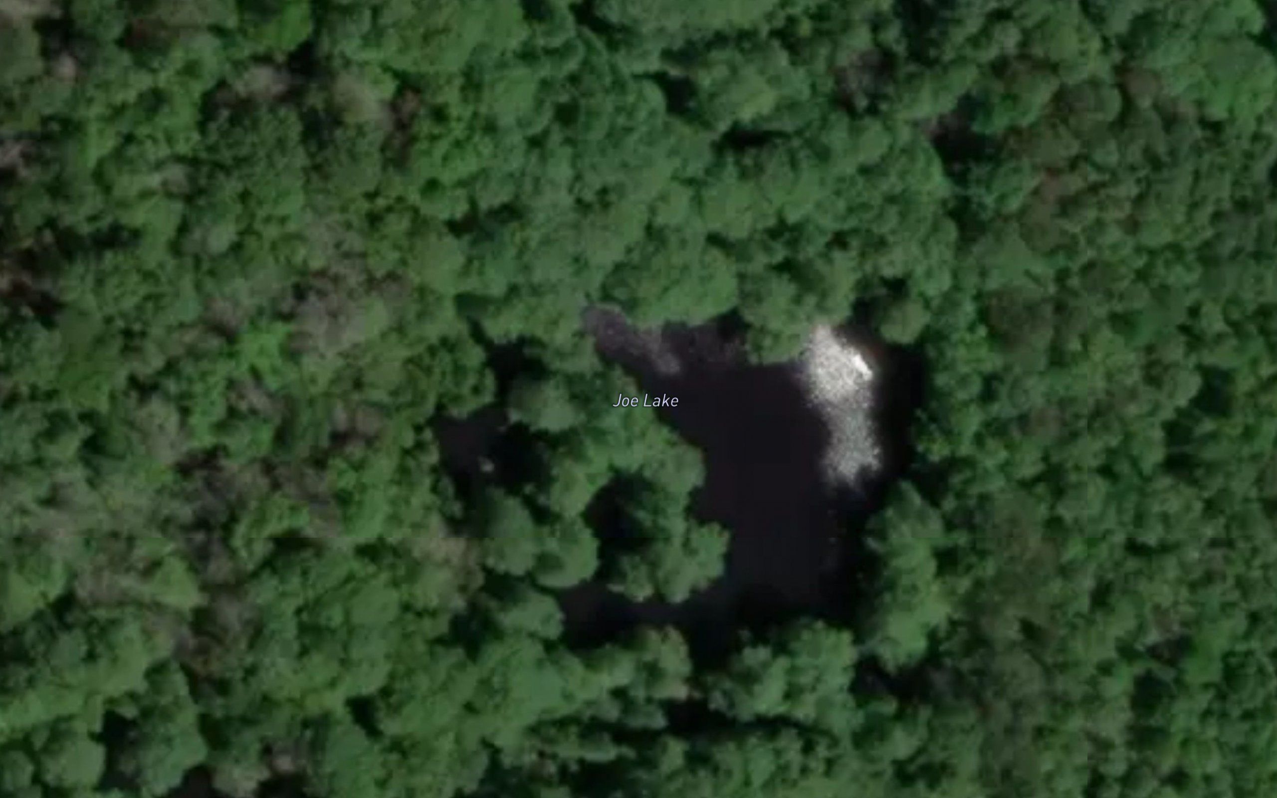 Joe Lake