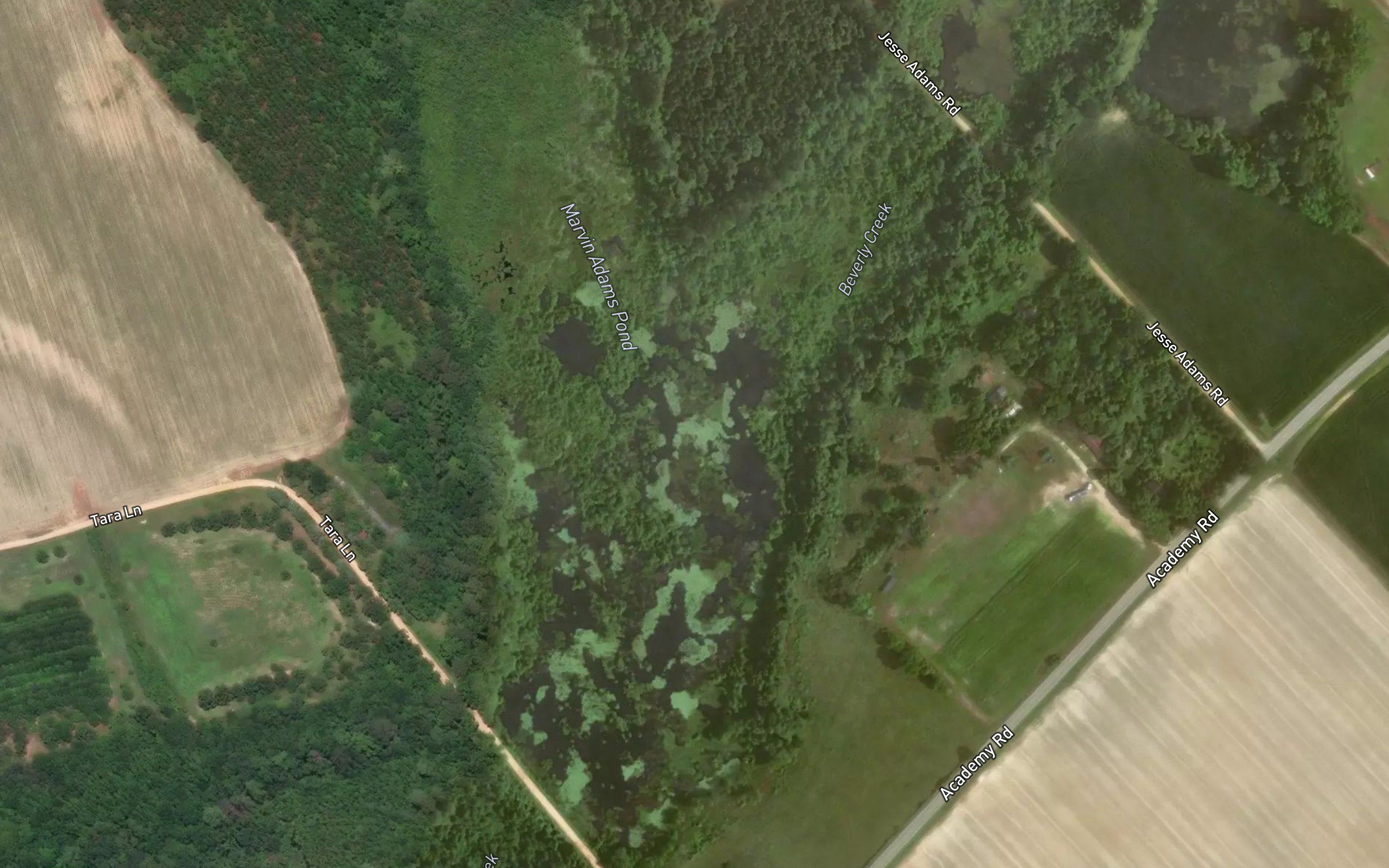 Marvin Adams Pond