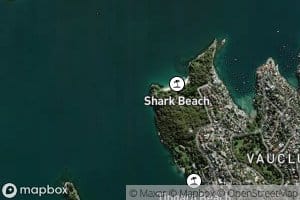Shark Point