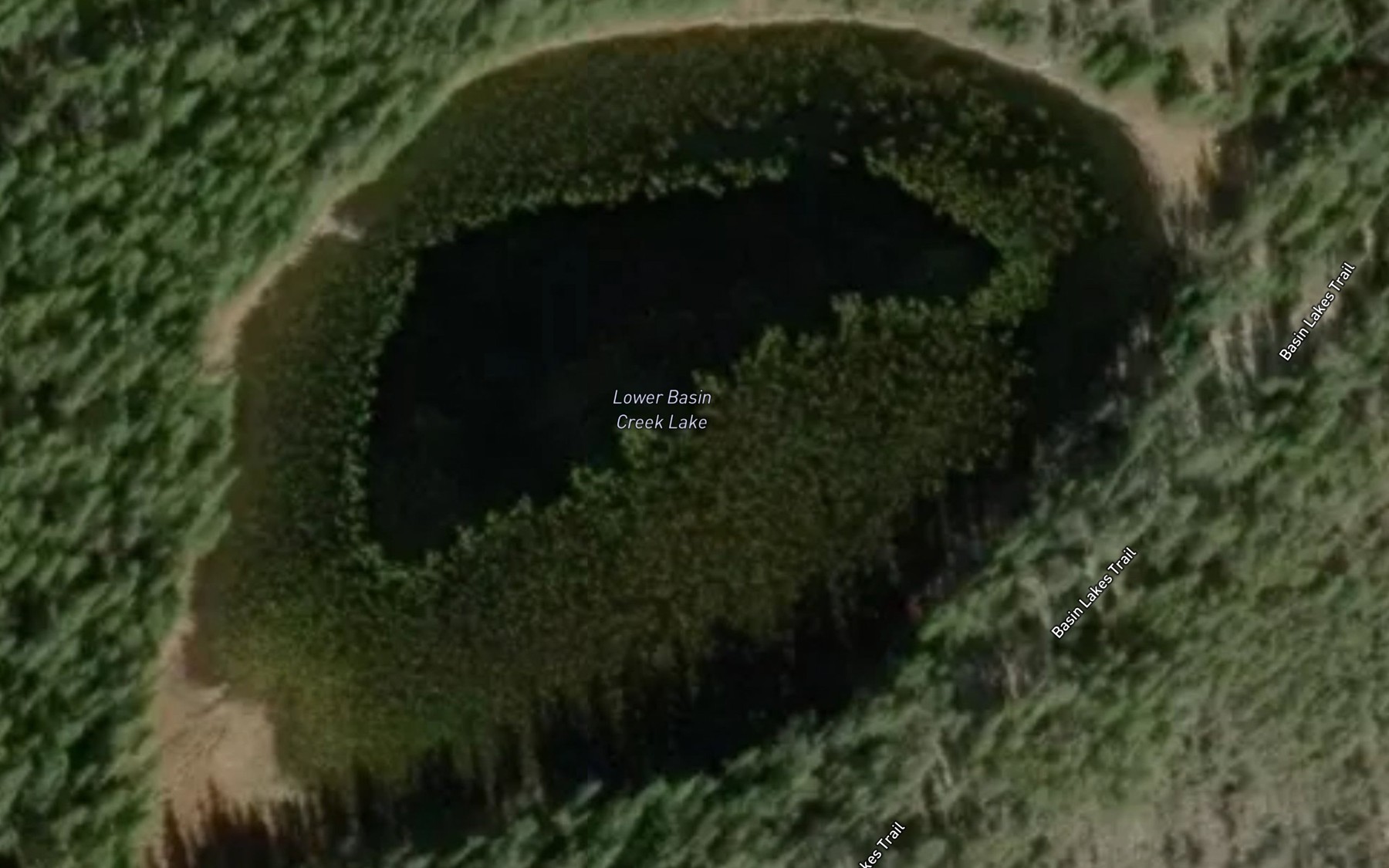 Satellite map of the Lower Basin Creek Lake