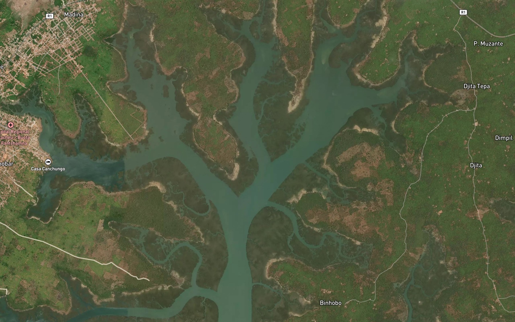 Satellite map of the Rio de Cacante