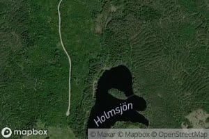 Holmsjon