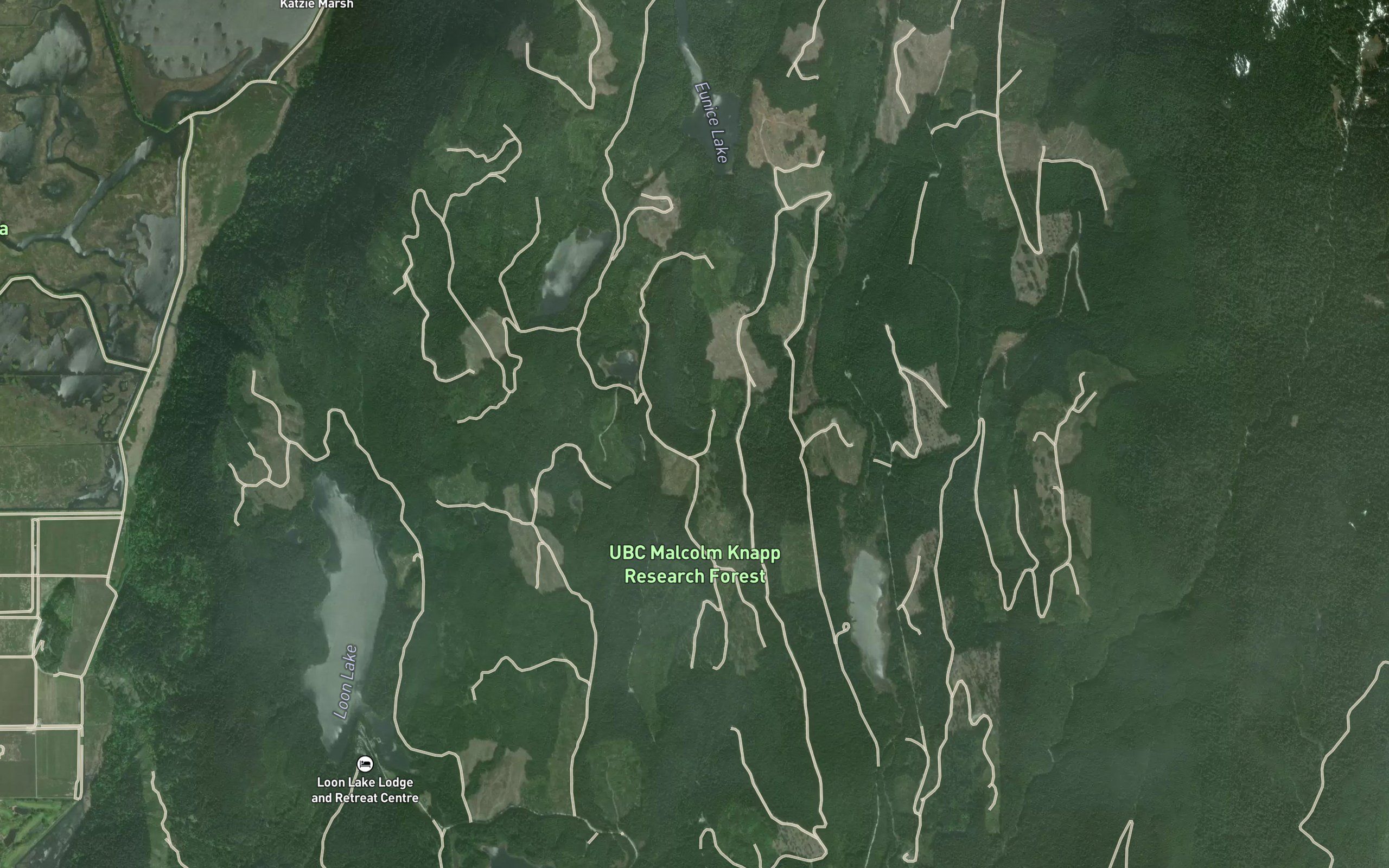 Surprise Lake