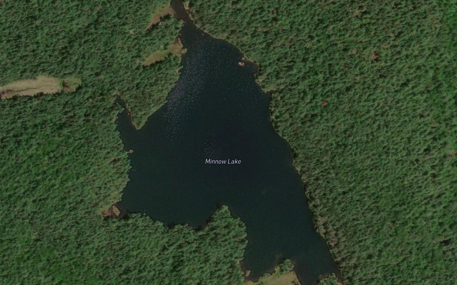 Satellite map of the Minnow Lake