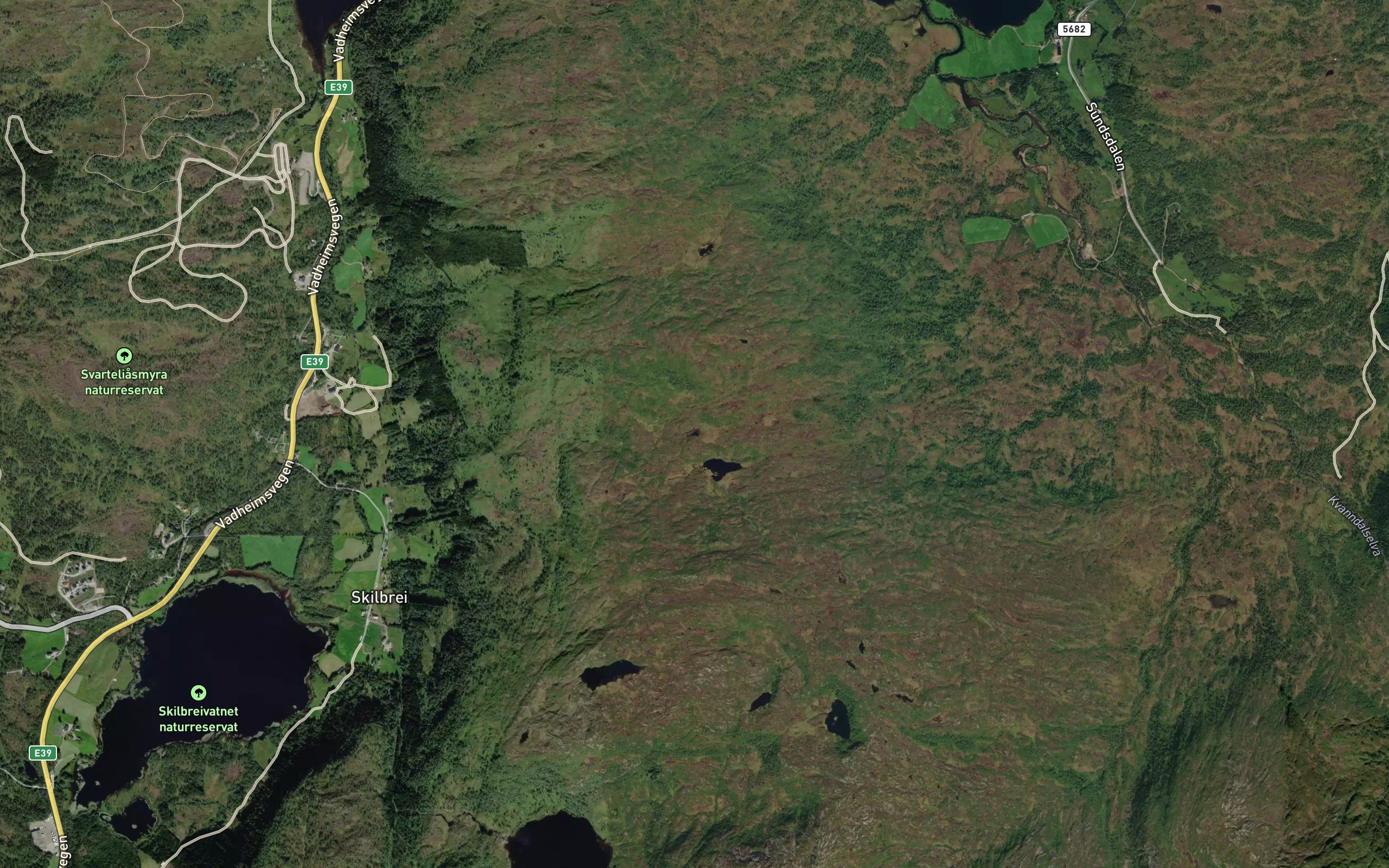 Kattatjorn