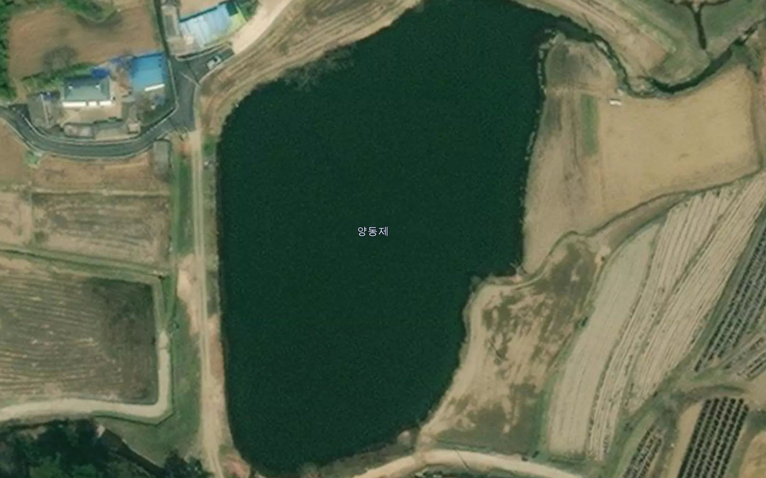 Yangdongje