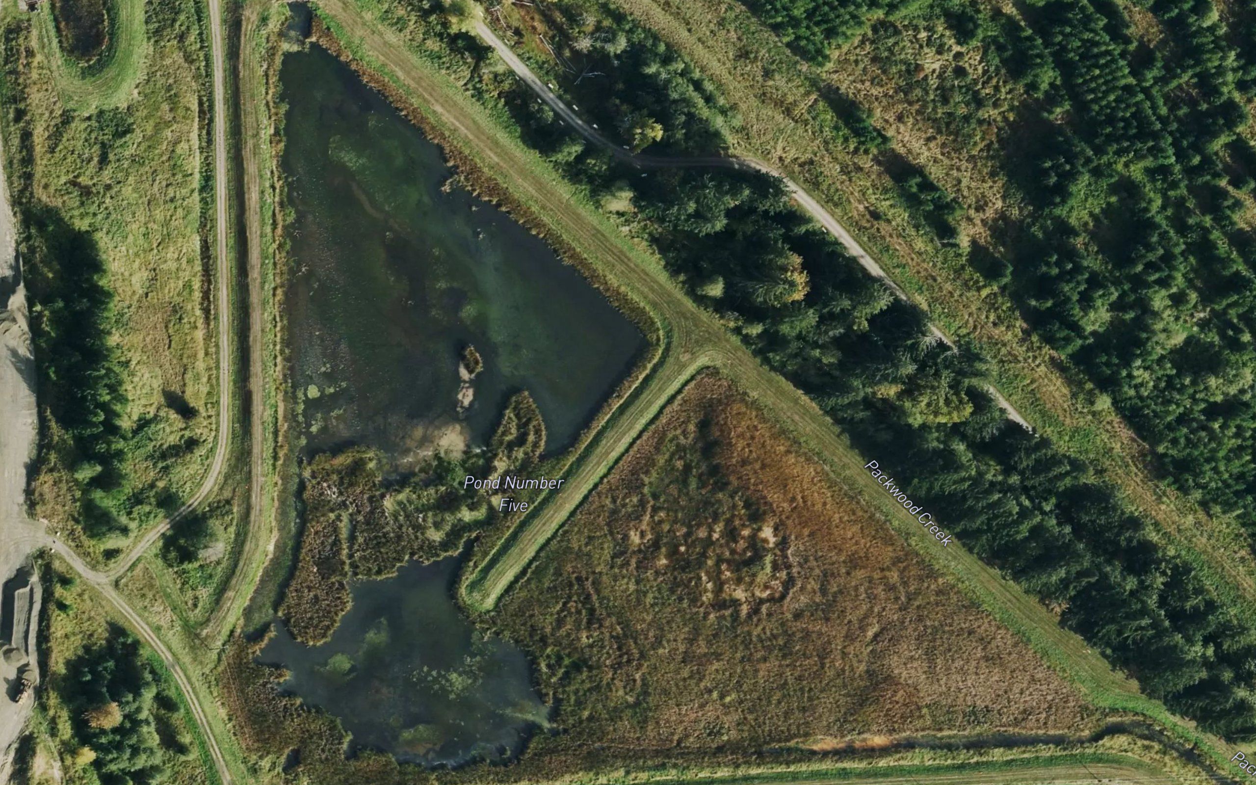 Pond Number Five