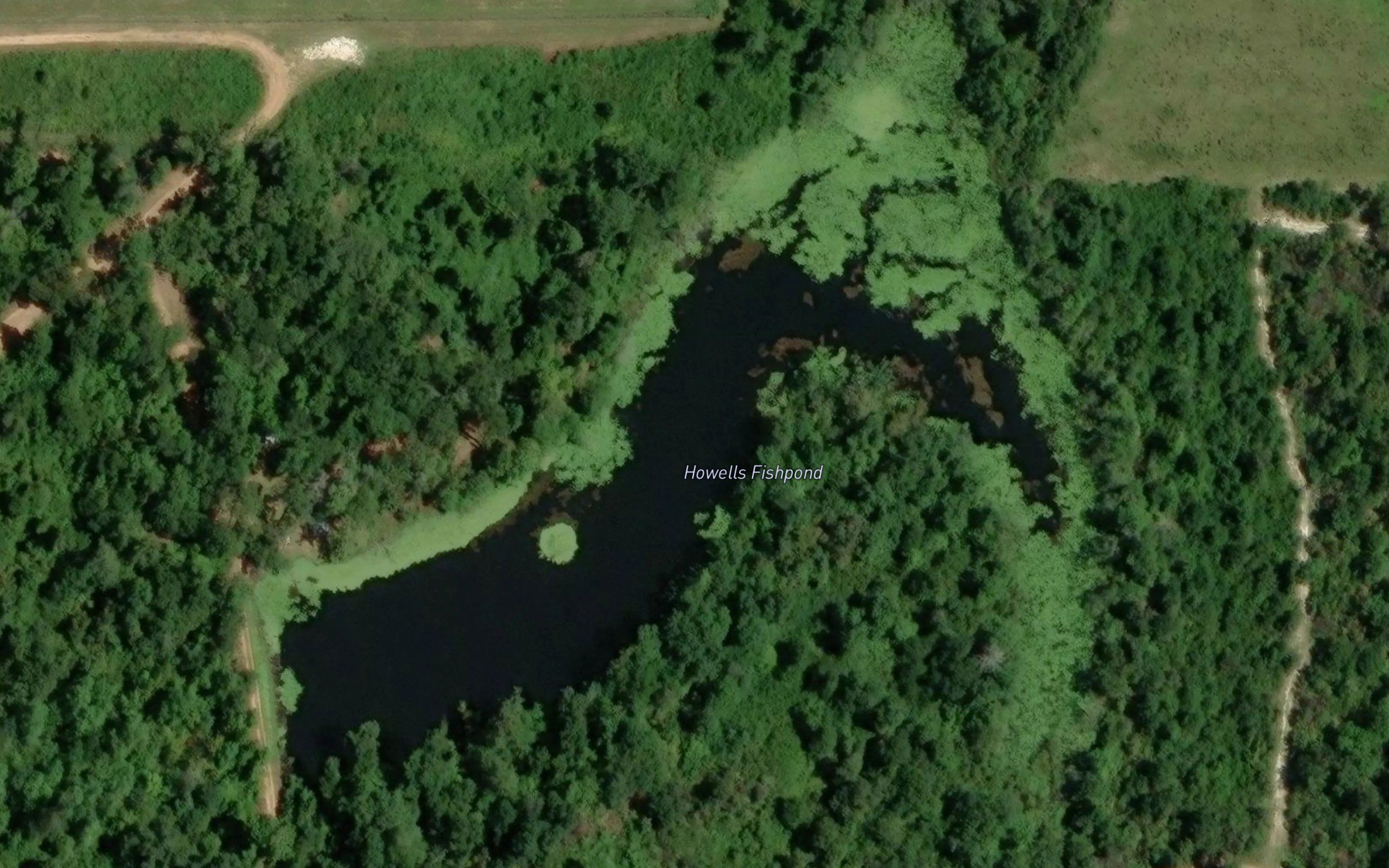 Howells Fishpond