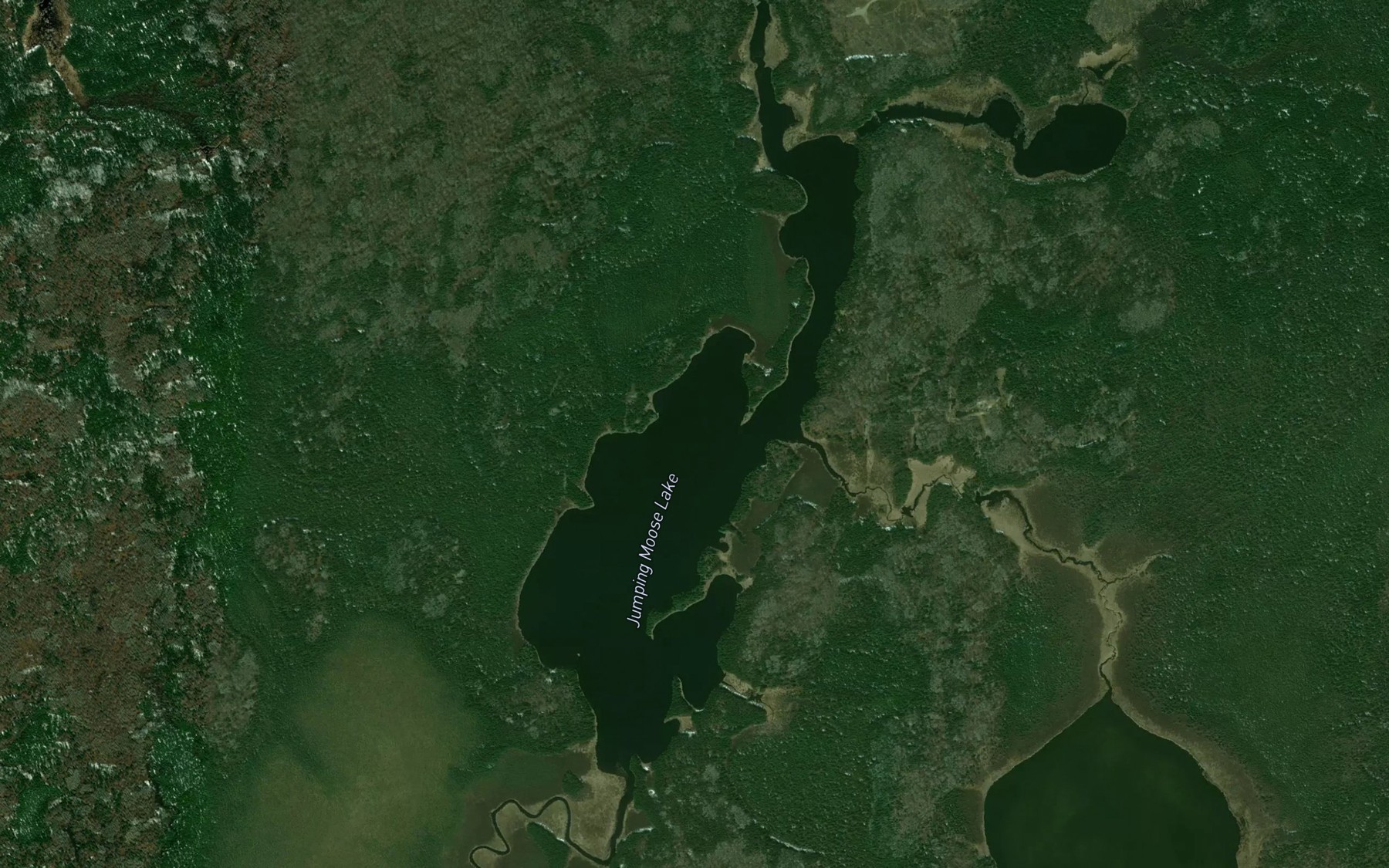 Satellite map of the Jumping Moose Lake