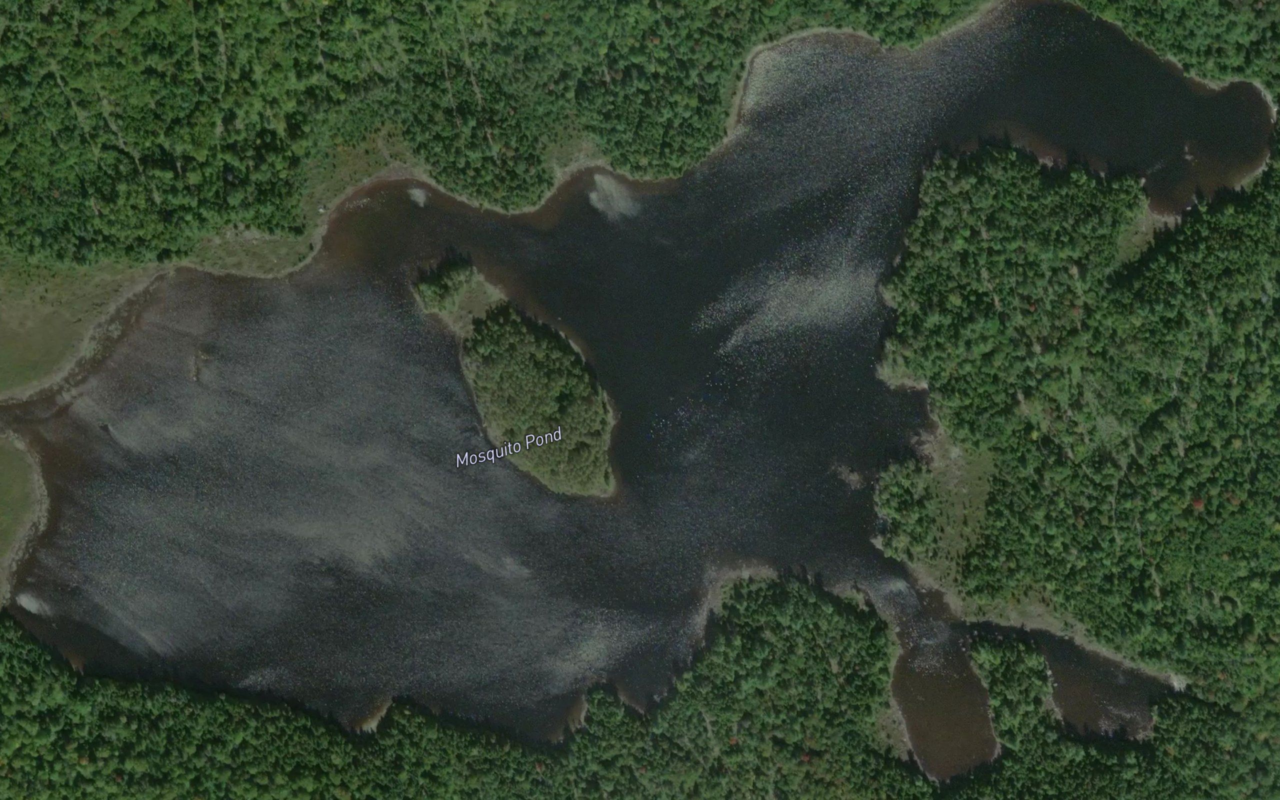 Mosquito Pond