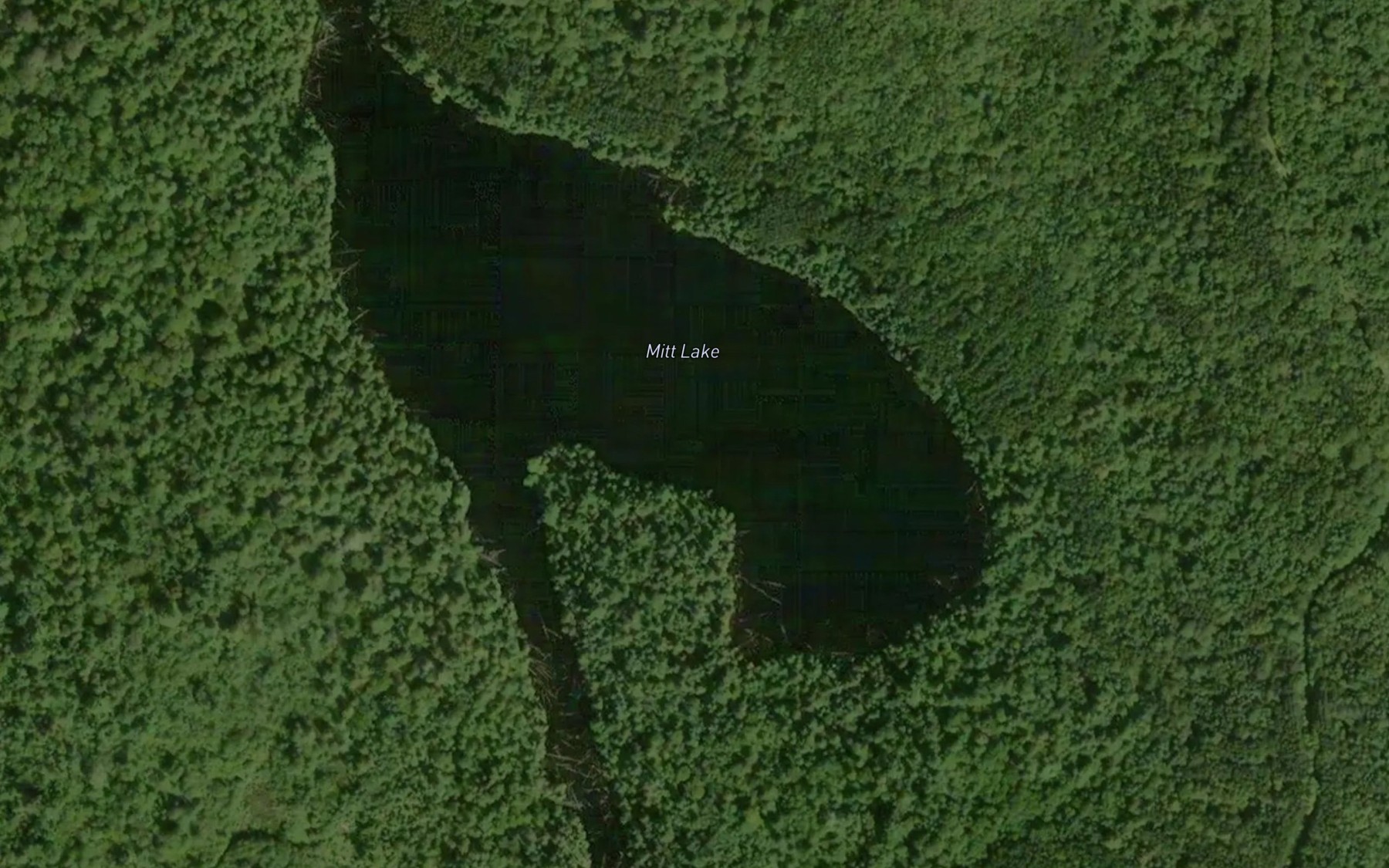 Satellite map of the Mitt Lake