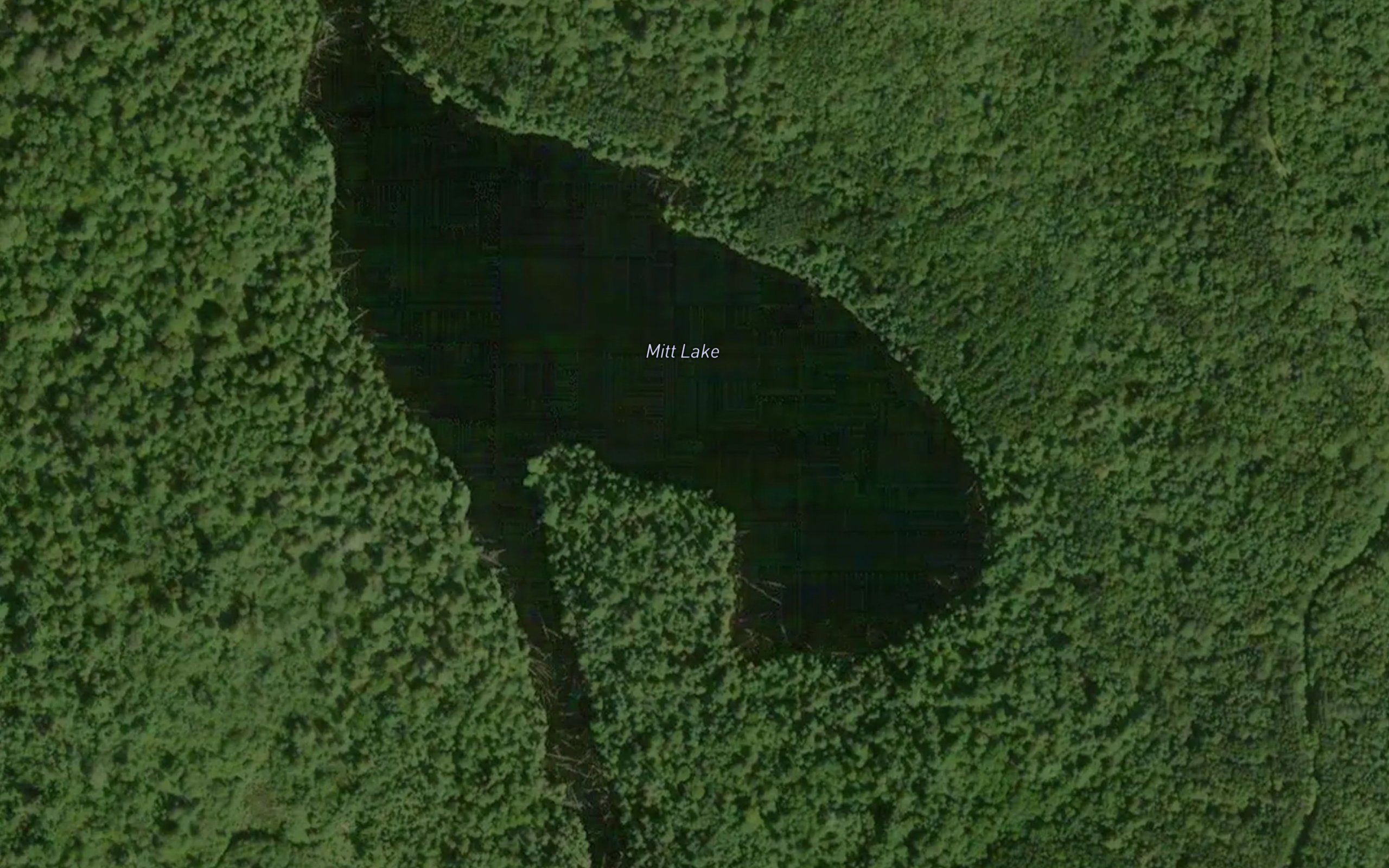 Mitt Lake