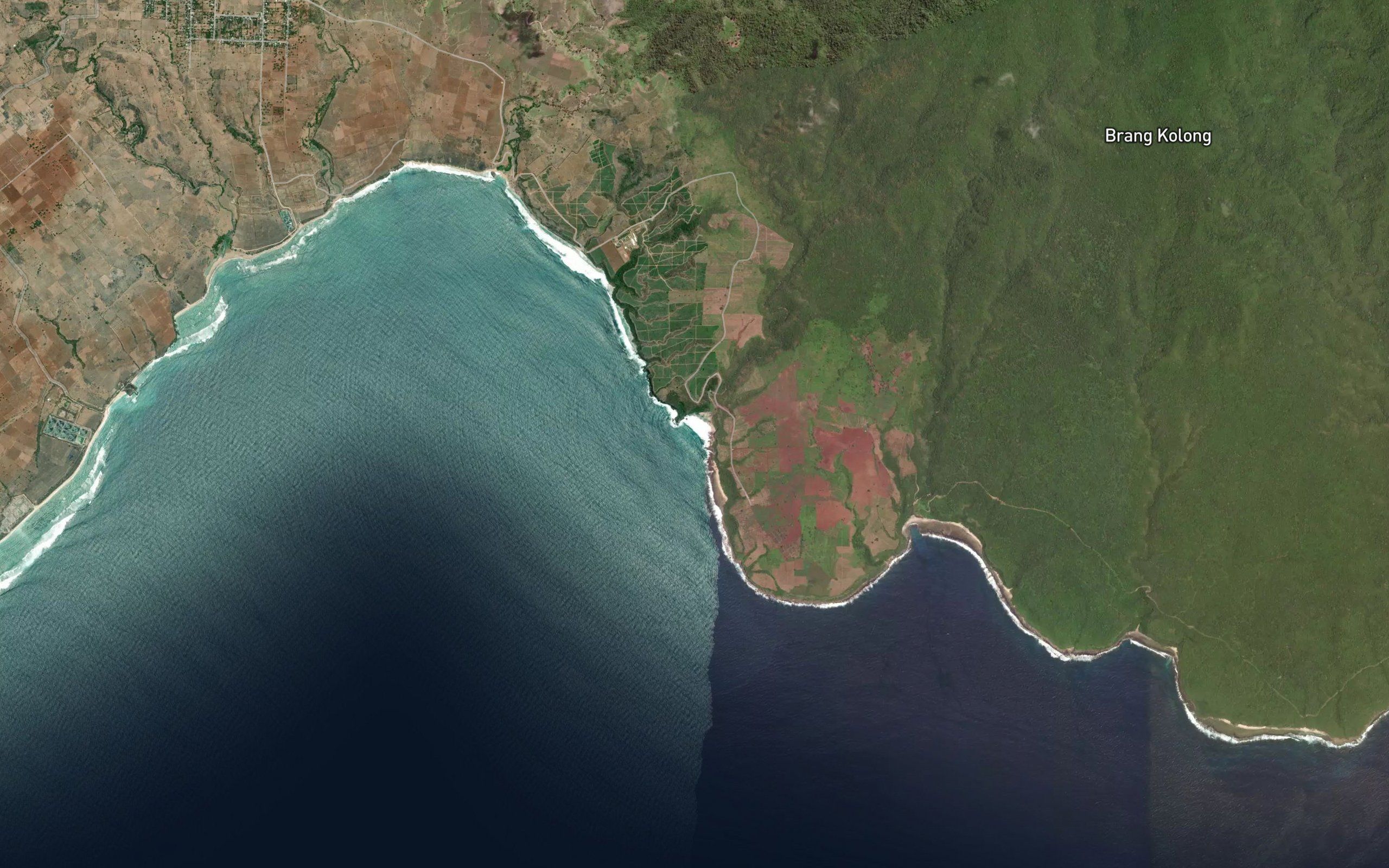 Teluk Borang