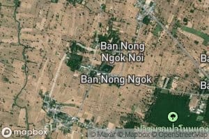 Nong Ngok