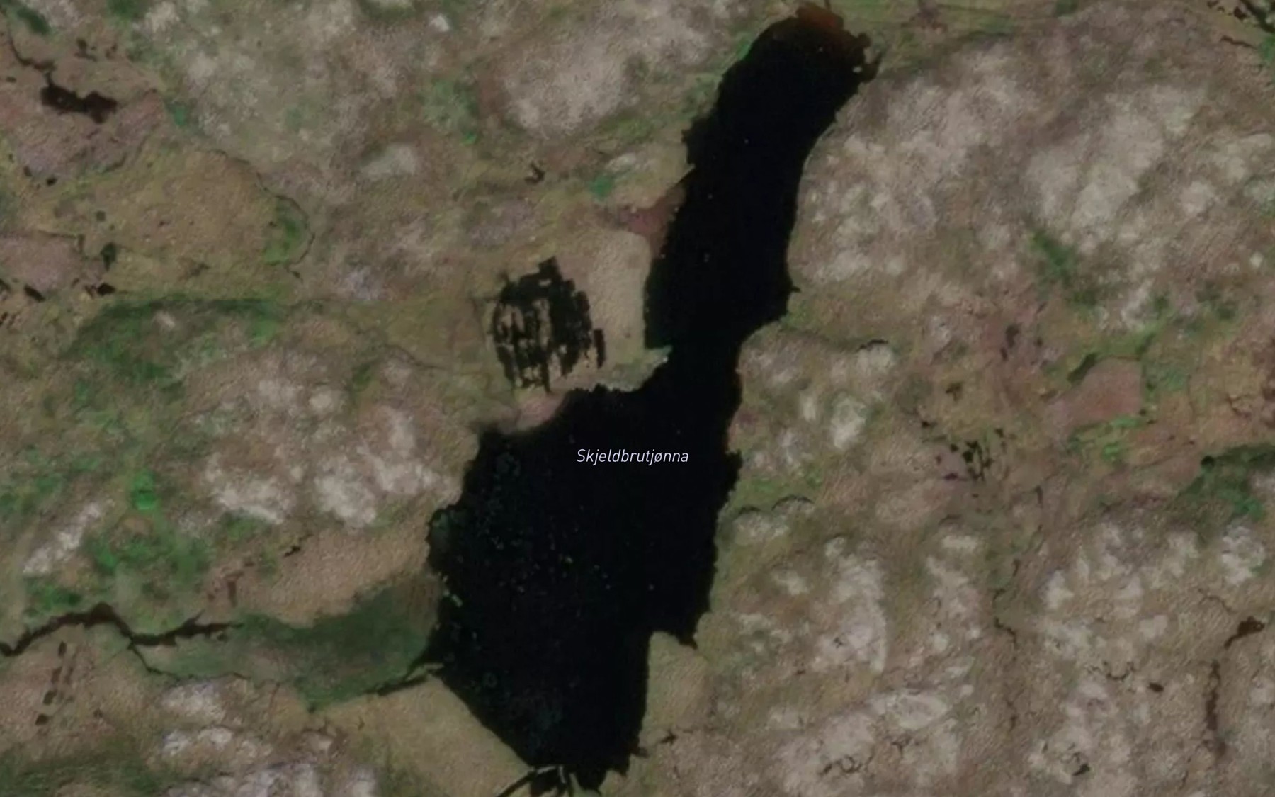 Satellite map of the Skjelbruvasstjonna