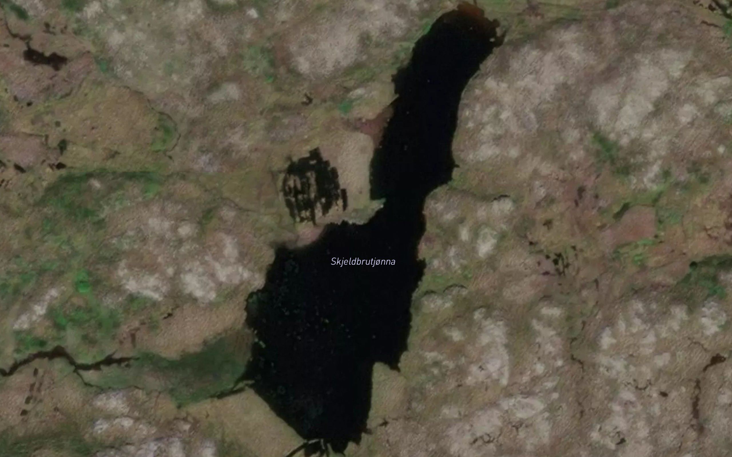 Skjelbruvasstjonna