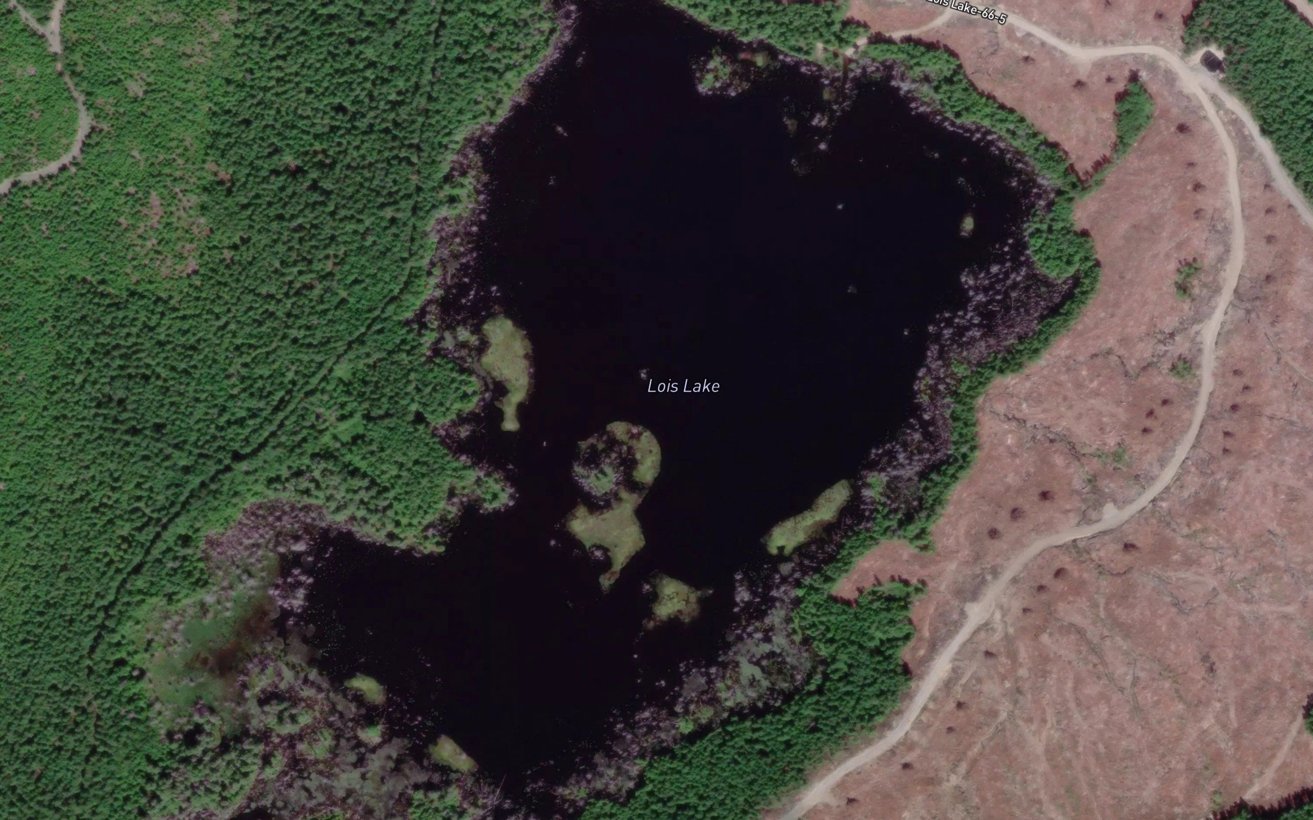 Lois Lake