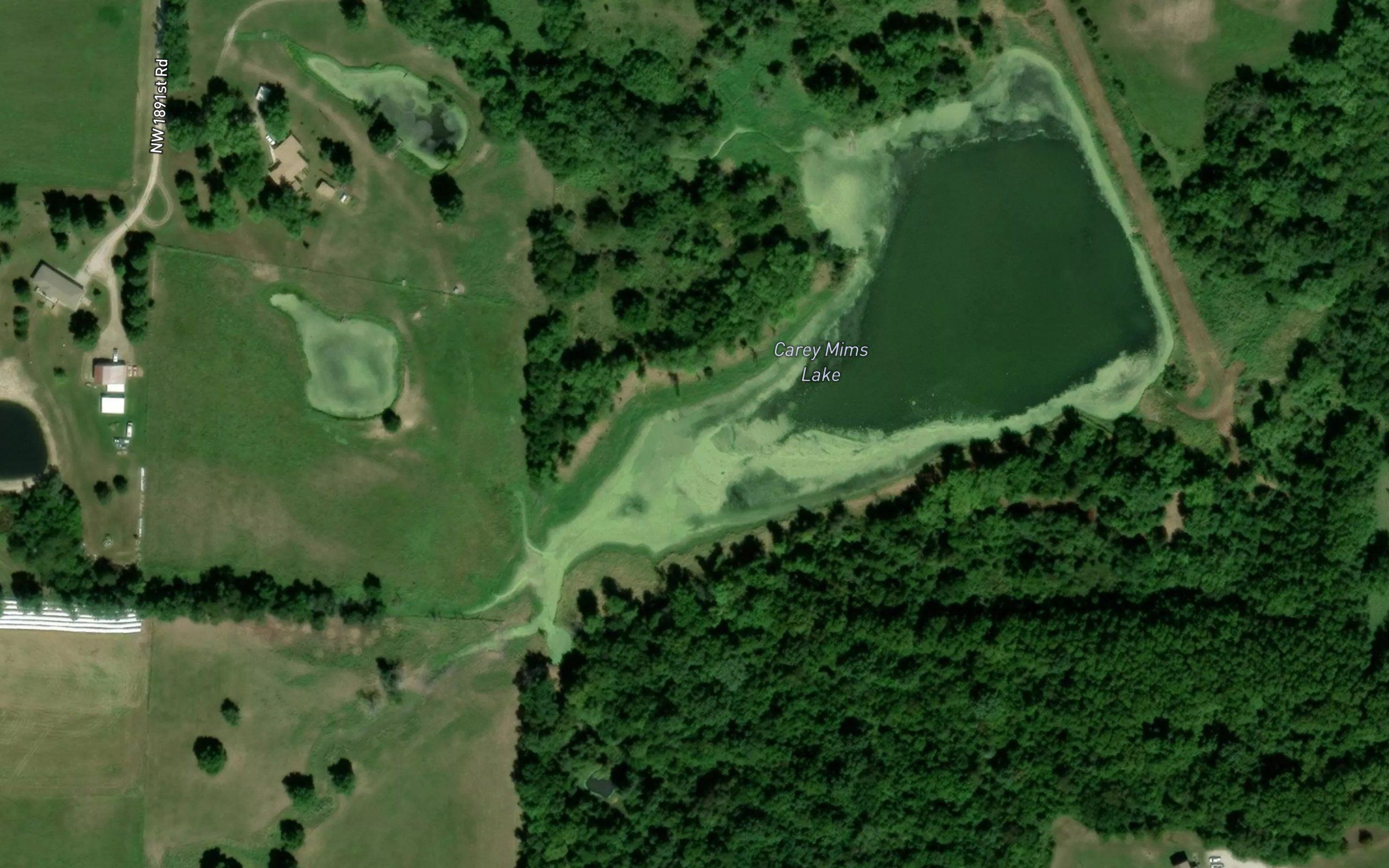 Carey Mims Lake