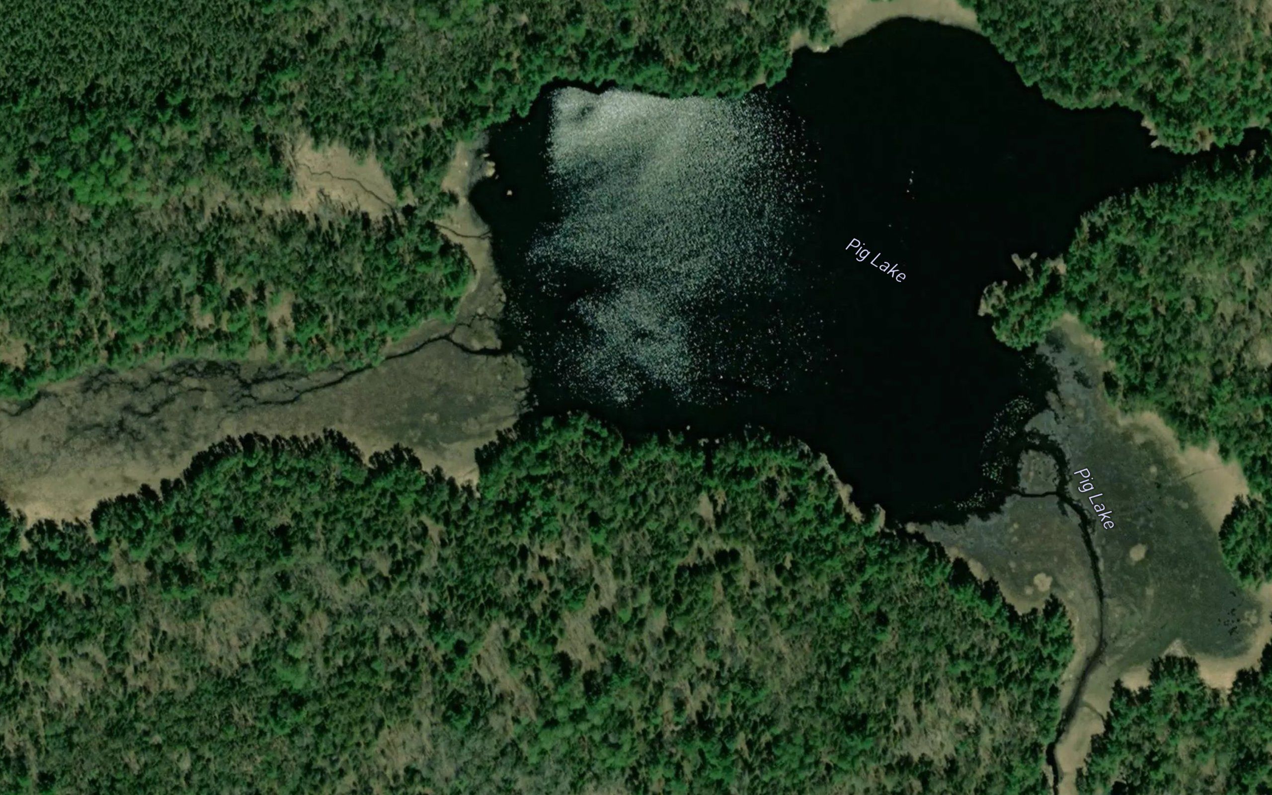 Pig Lake