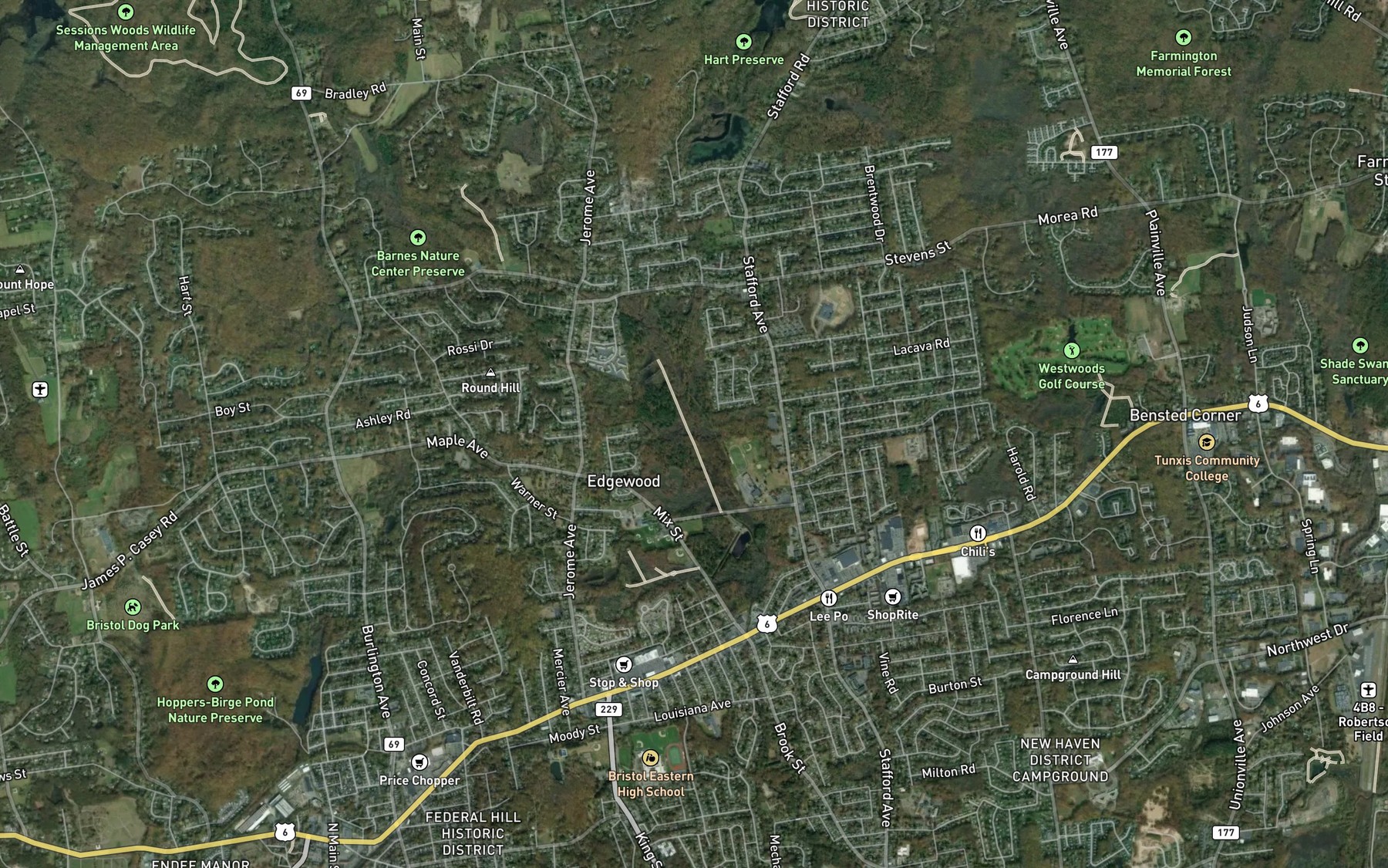 Satellite map of the Negro Hill Brook