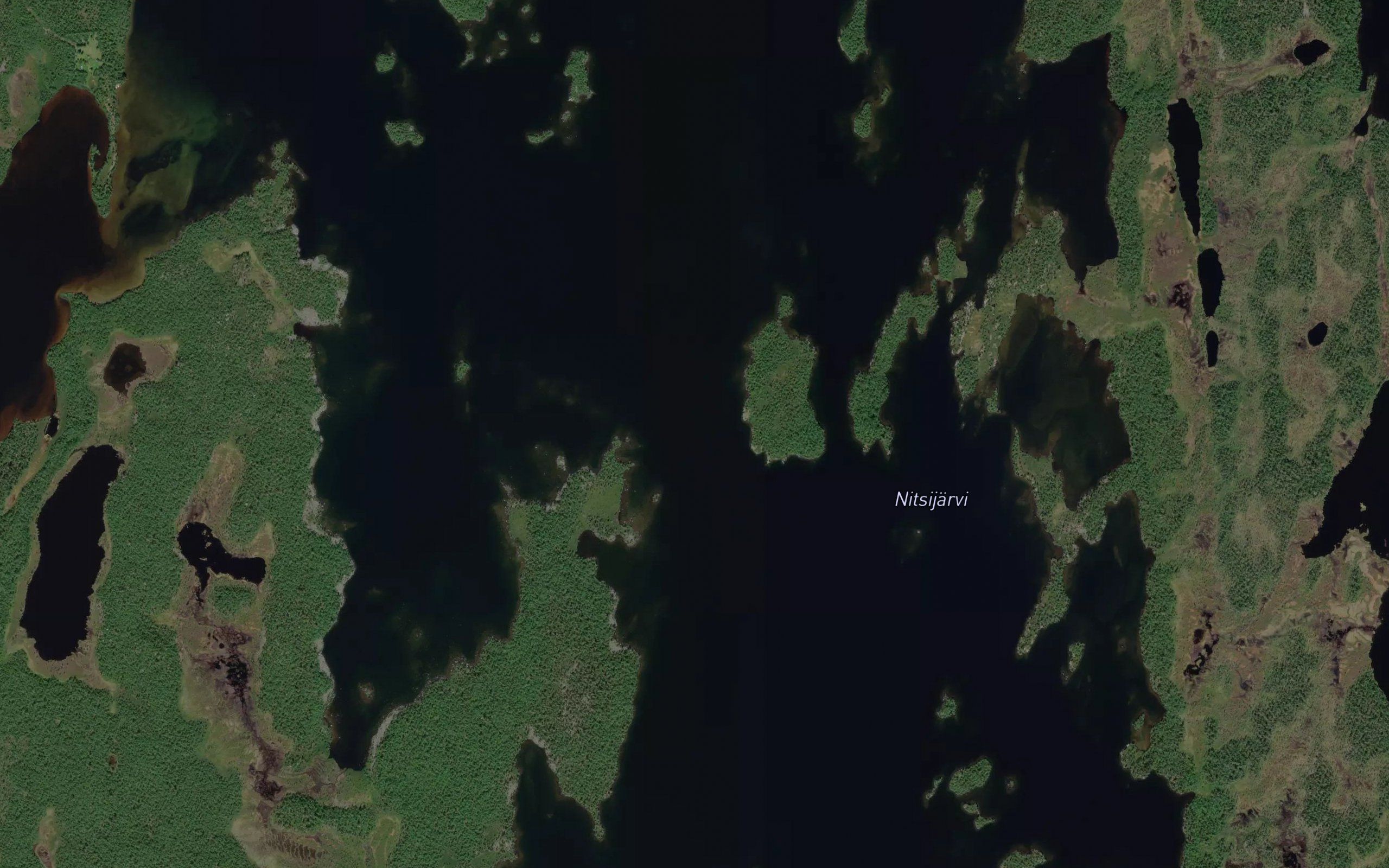 Vyelesuolluicualmi