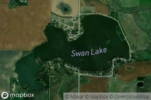 Swan Lake
