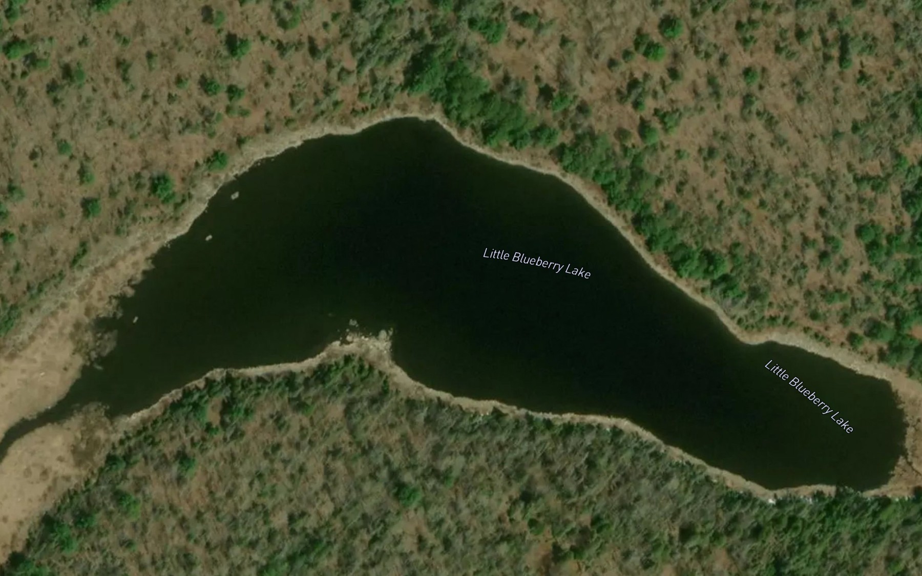 Satellite map of the Little Blueberry Lake
