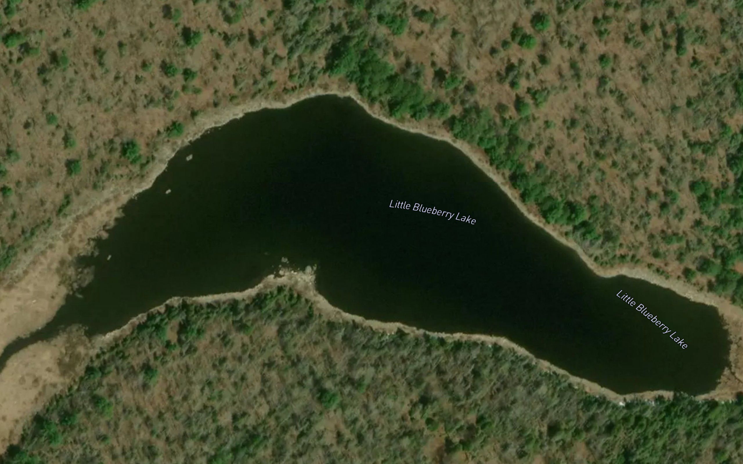 Little Blueberry Lake
