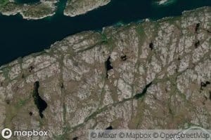 Haltviktjonna