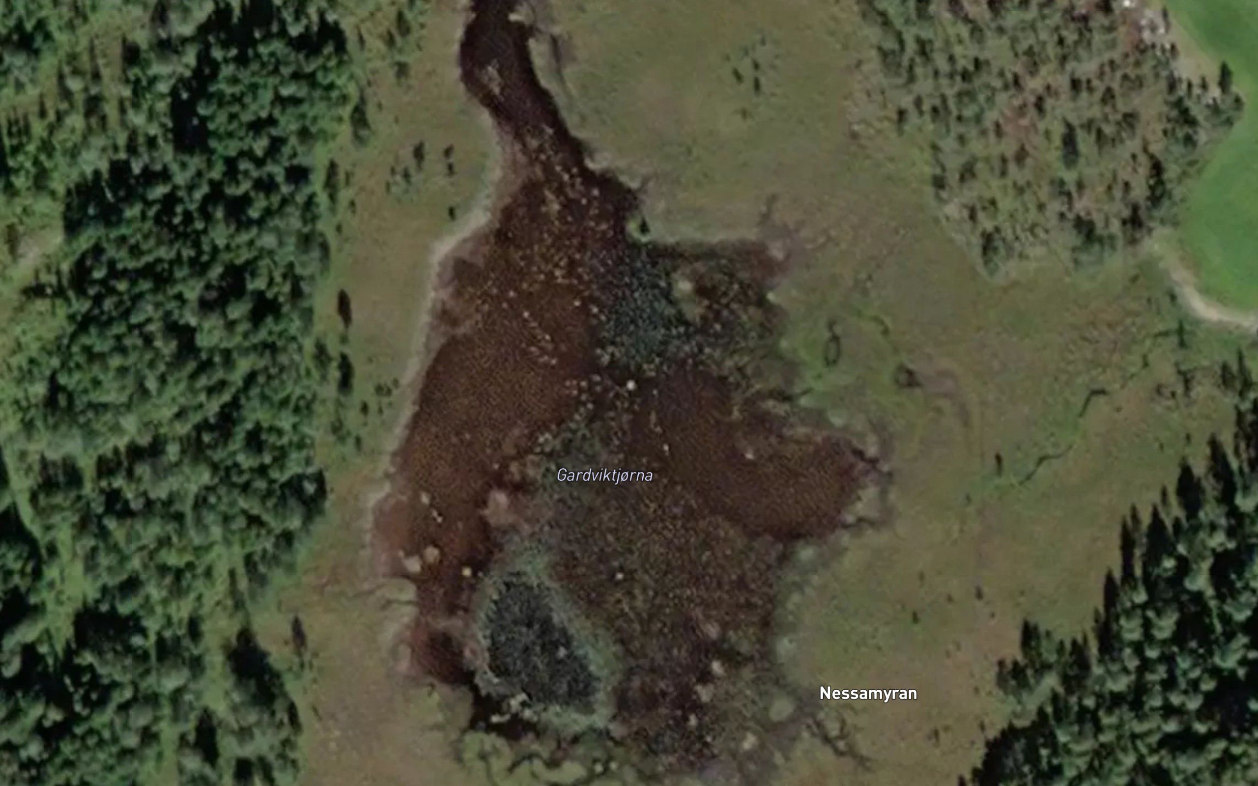 Gardviktjorna