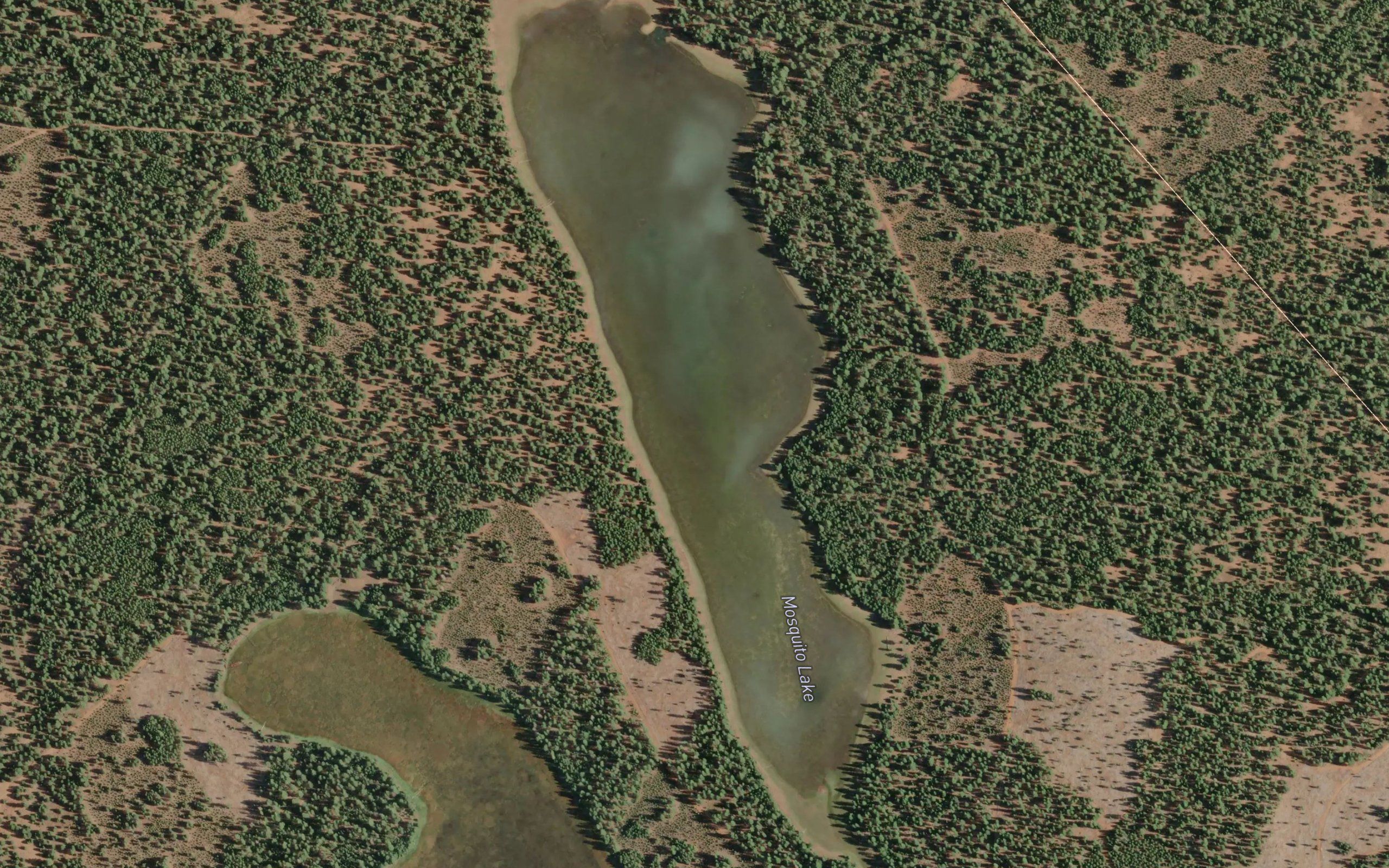 Mosquito Lake