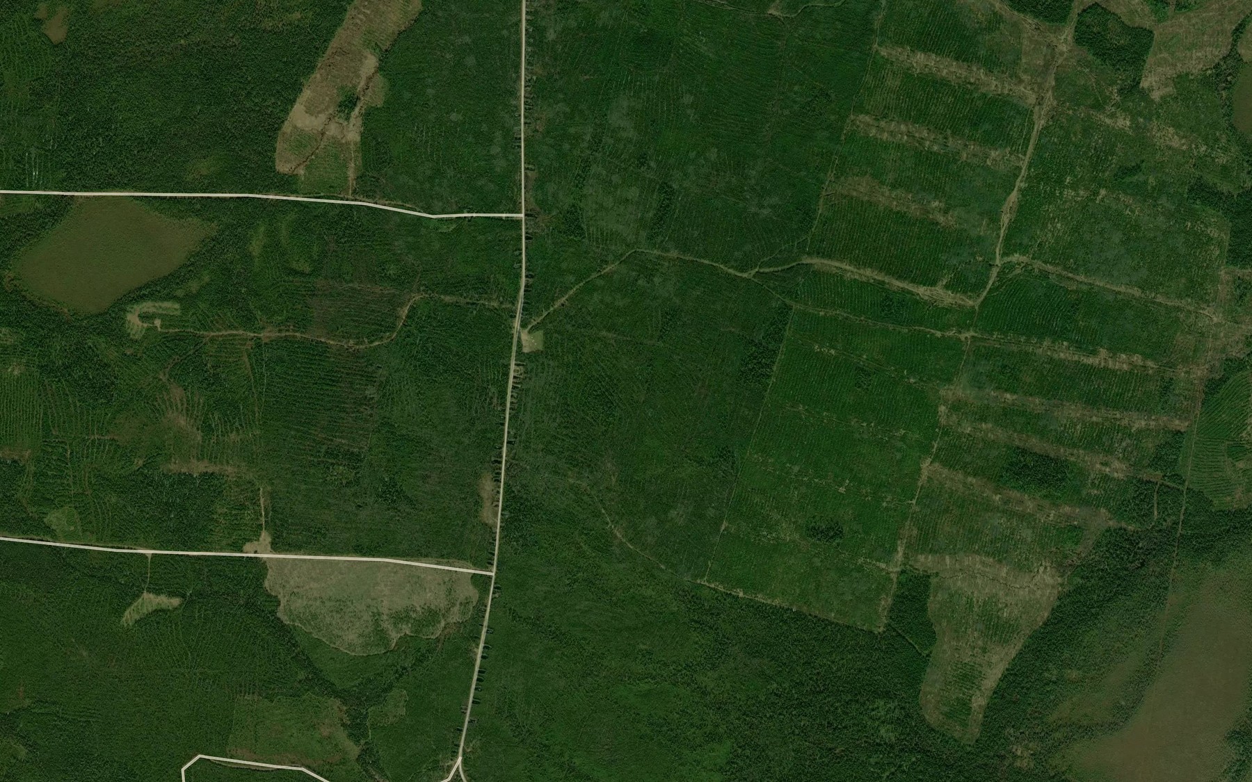 Satellite map of the Niktl'ye