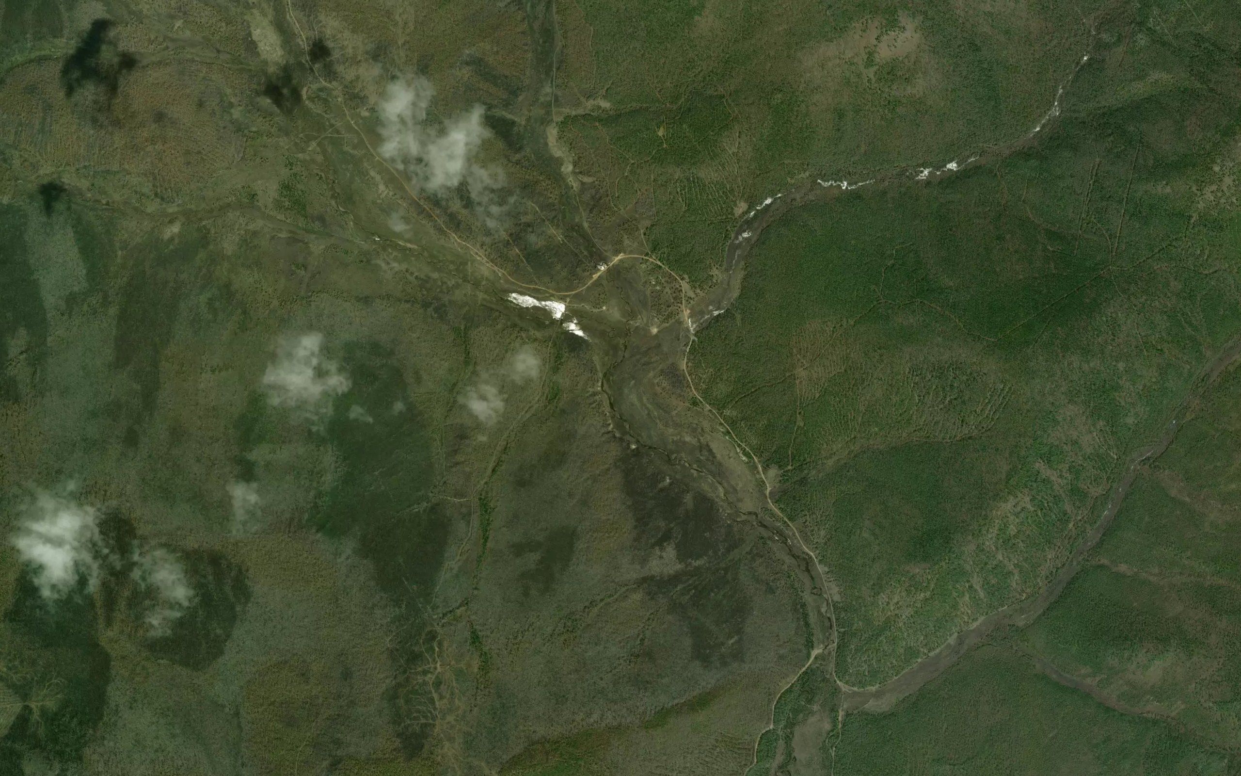 Zongoda