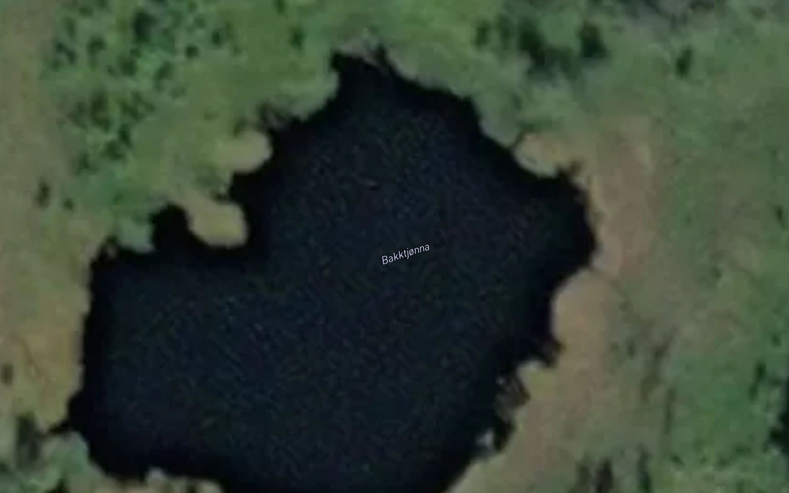Bakktjonna