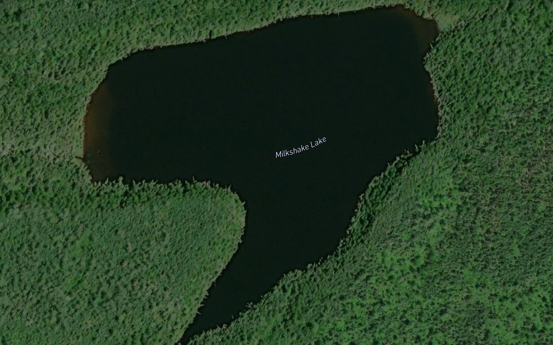 Satellite map of the Milkshake Lake