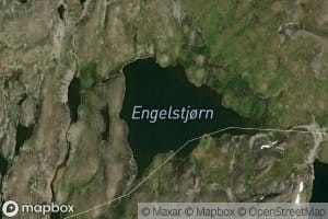 Engelstjorn