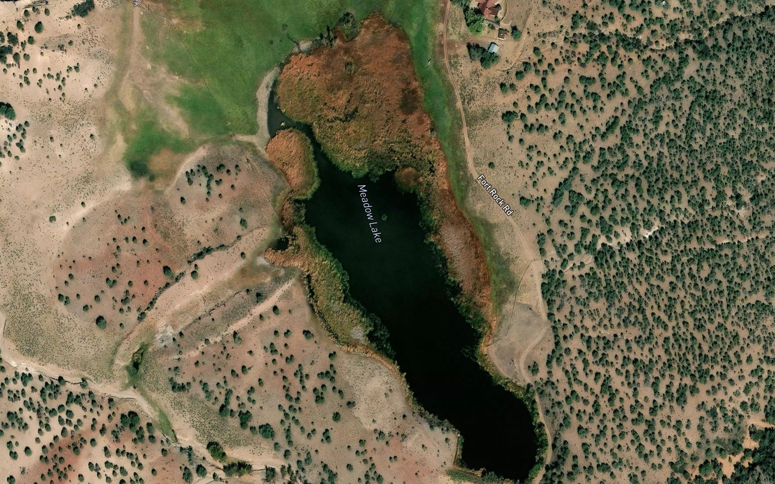 Meadow Lake