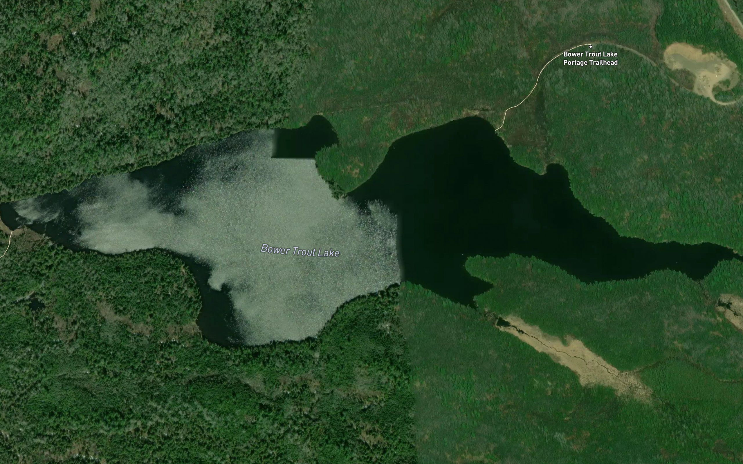Bower Trout Lake
