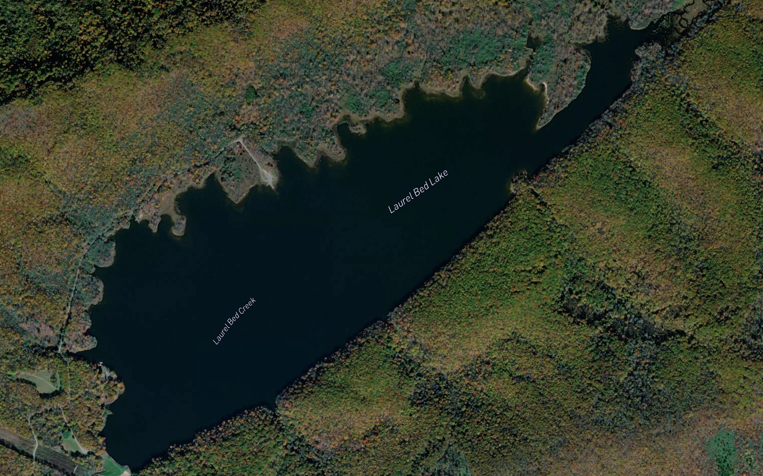 Laurel Bed Lake