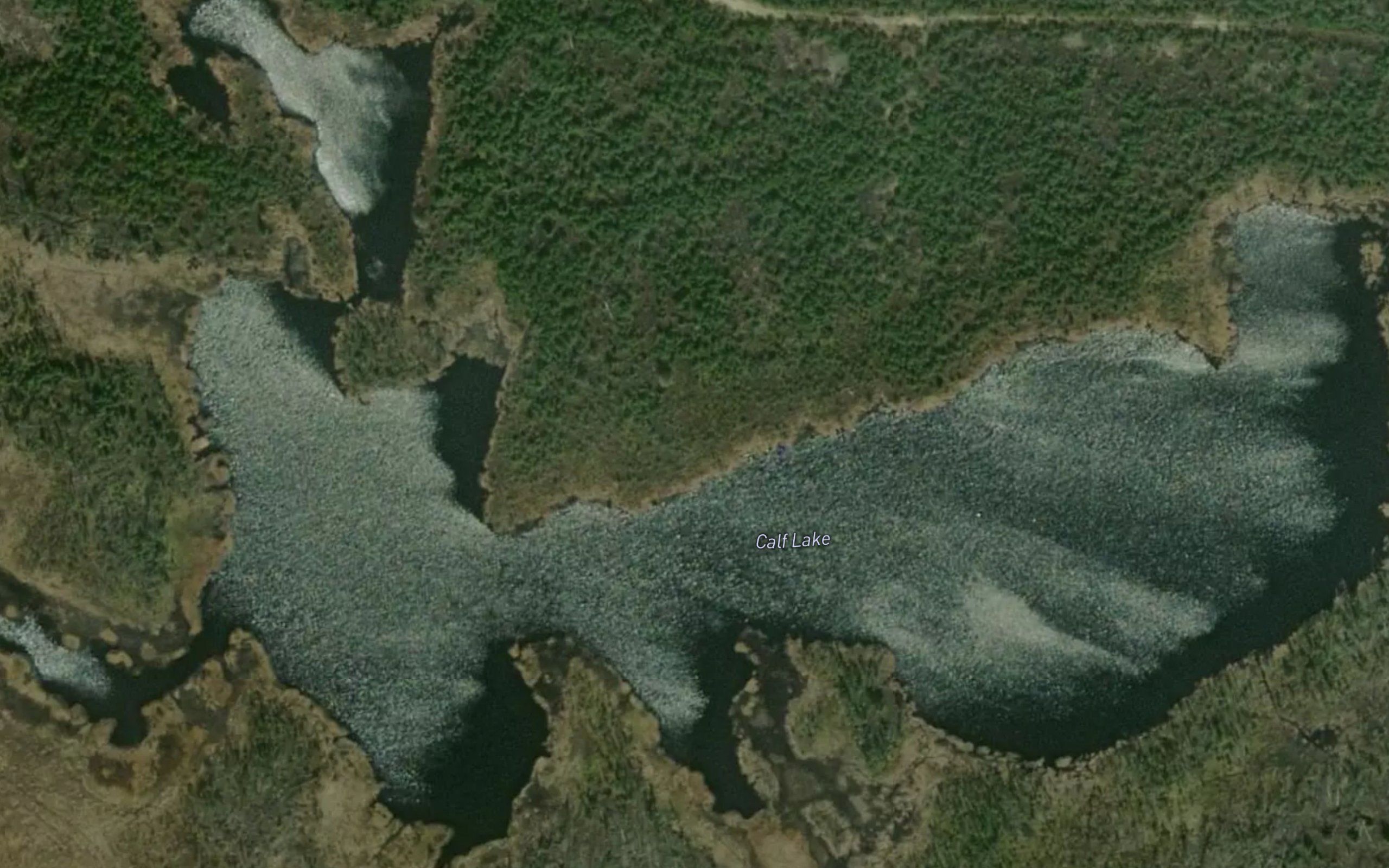 Calf Lake