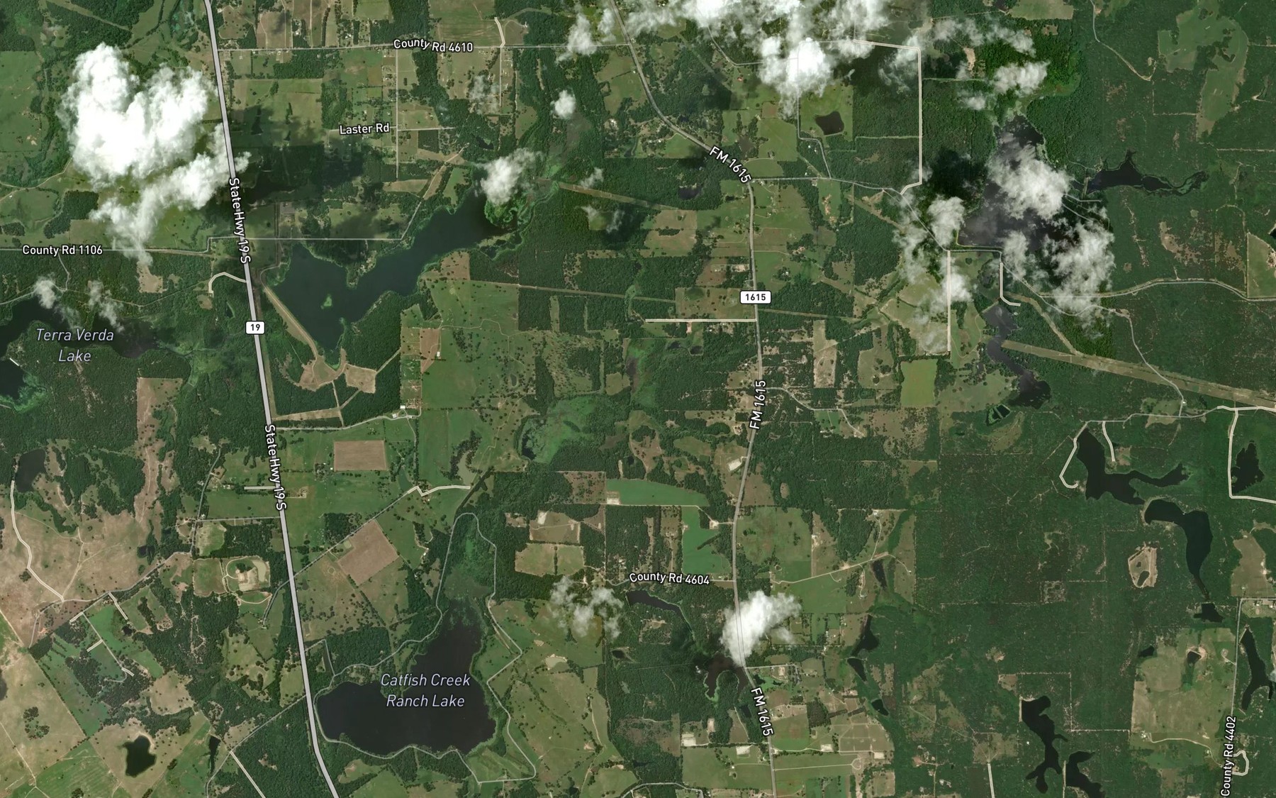 Satellite map of the Terrell Branch