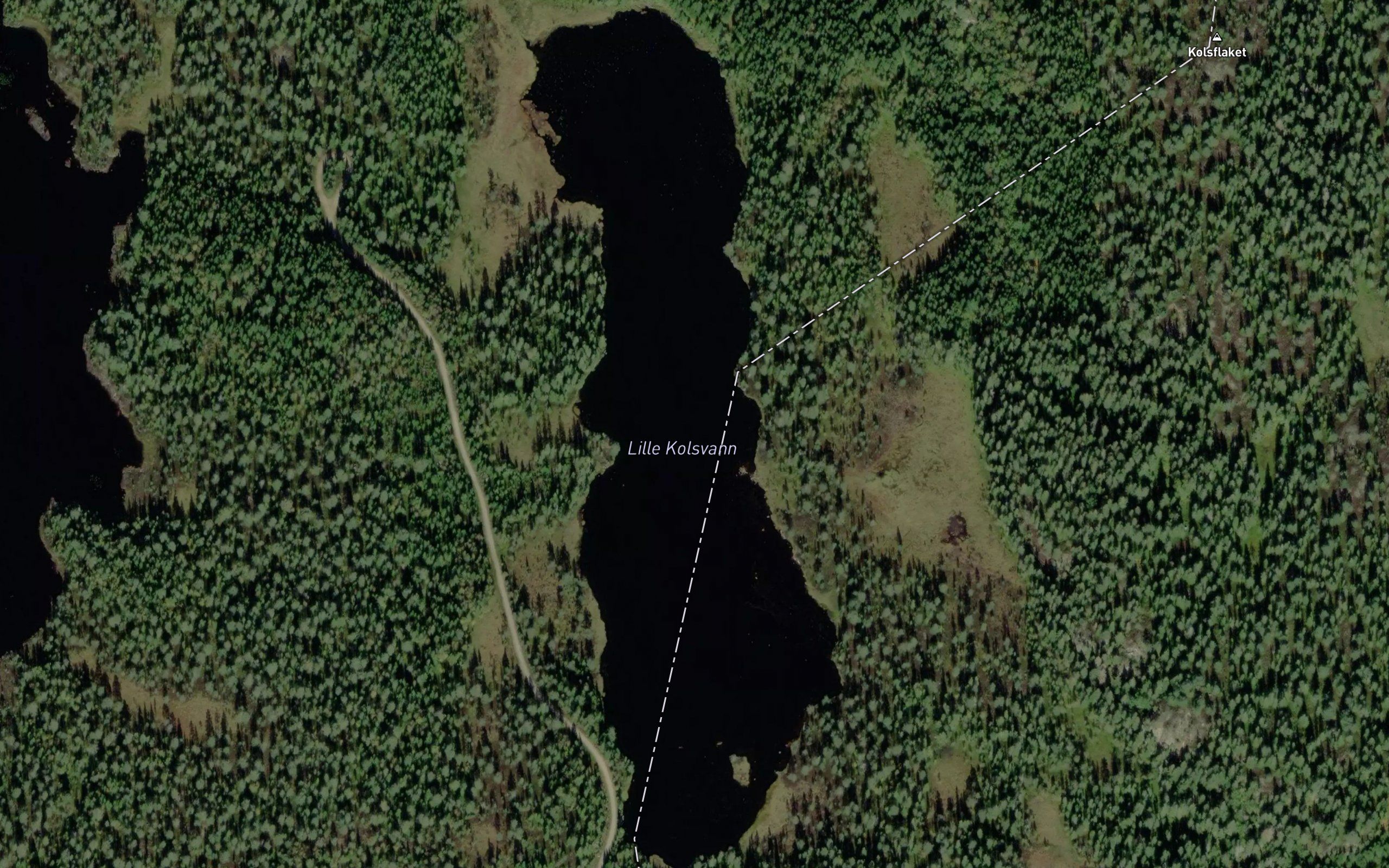 Lille Kolsvann