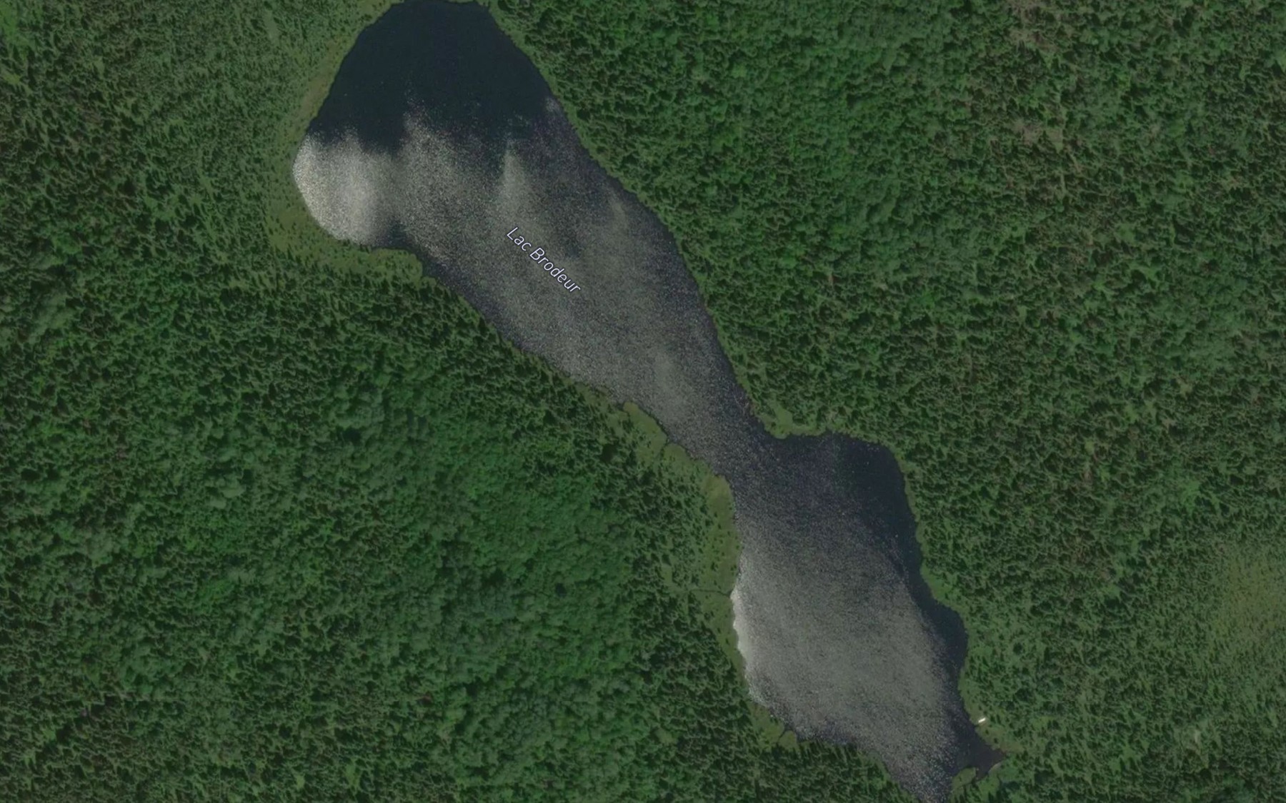 Satellite map of the Lac Brodeur